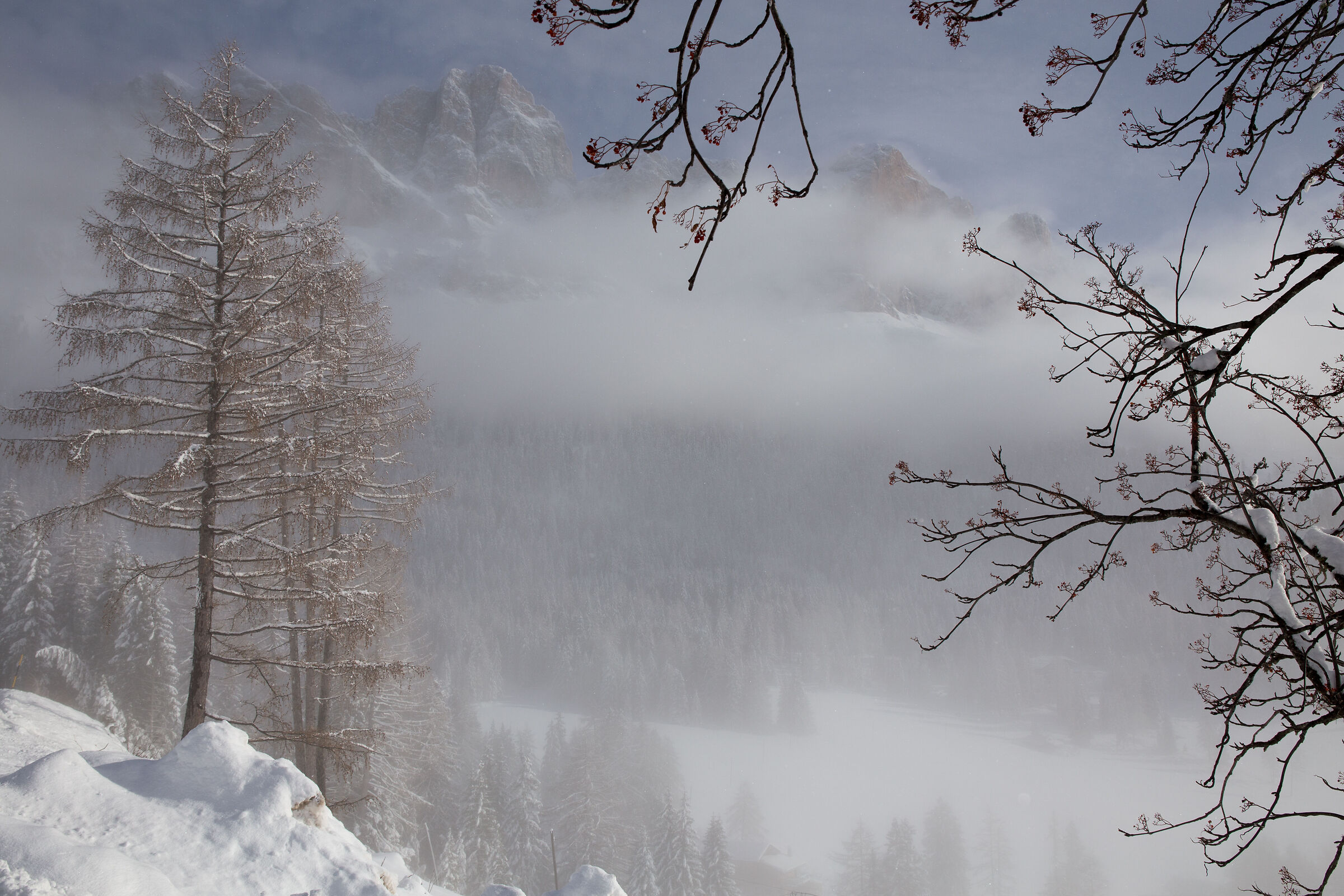 Catinaccio - Rosengarten
