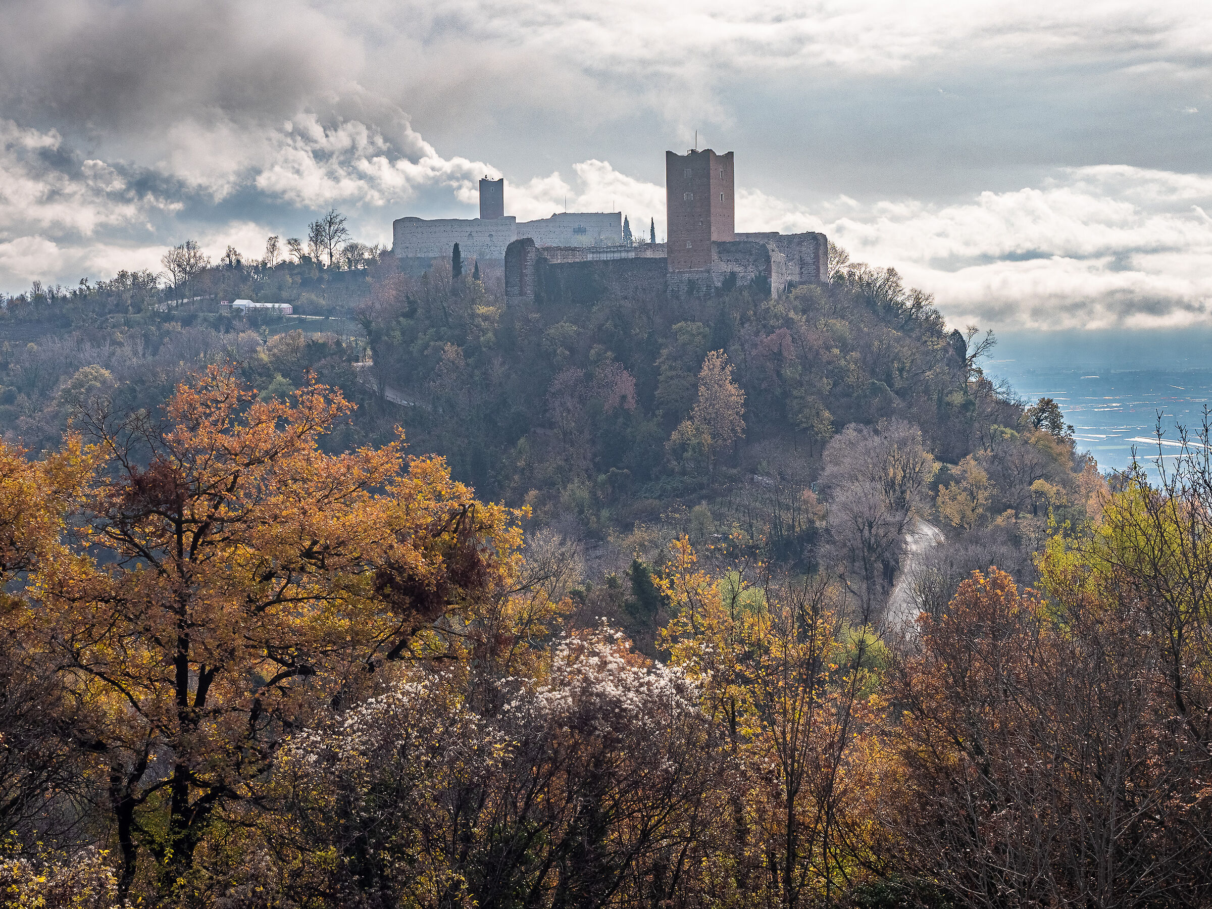time of fog and mist