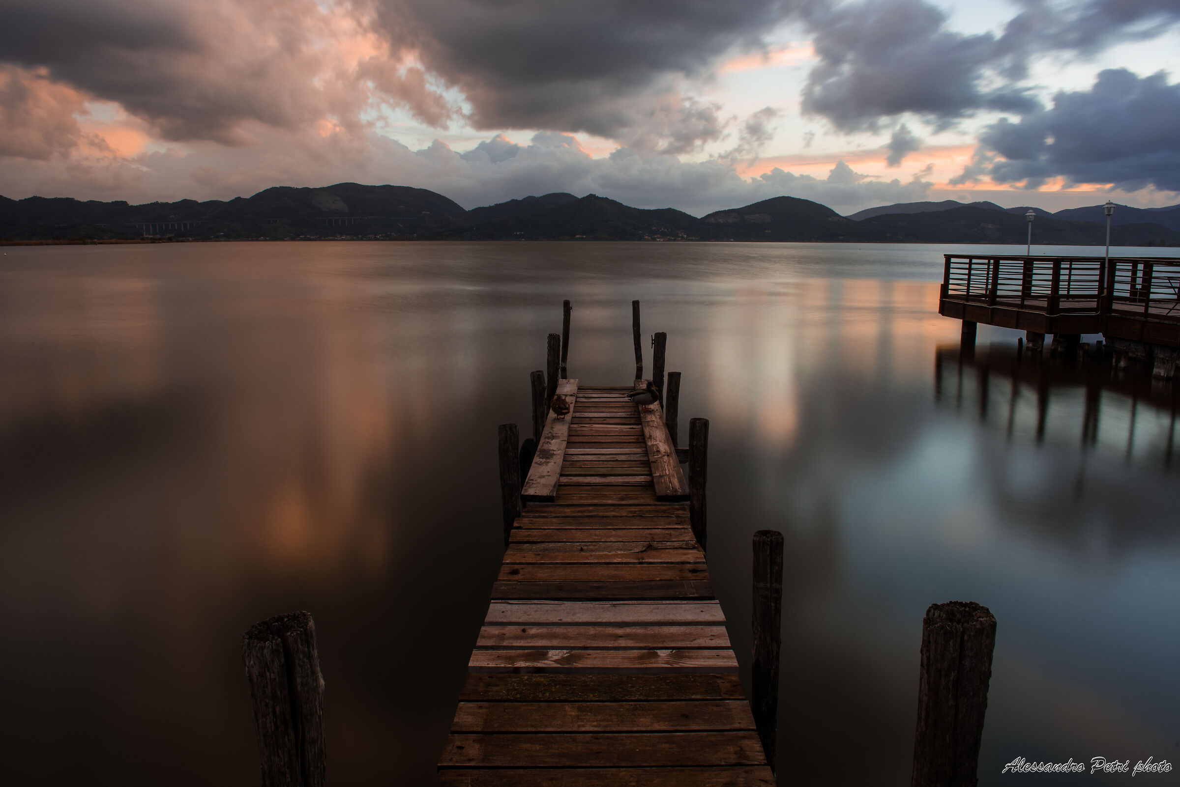 Dolce risveglio di fine Novembre