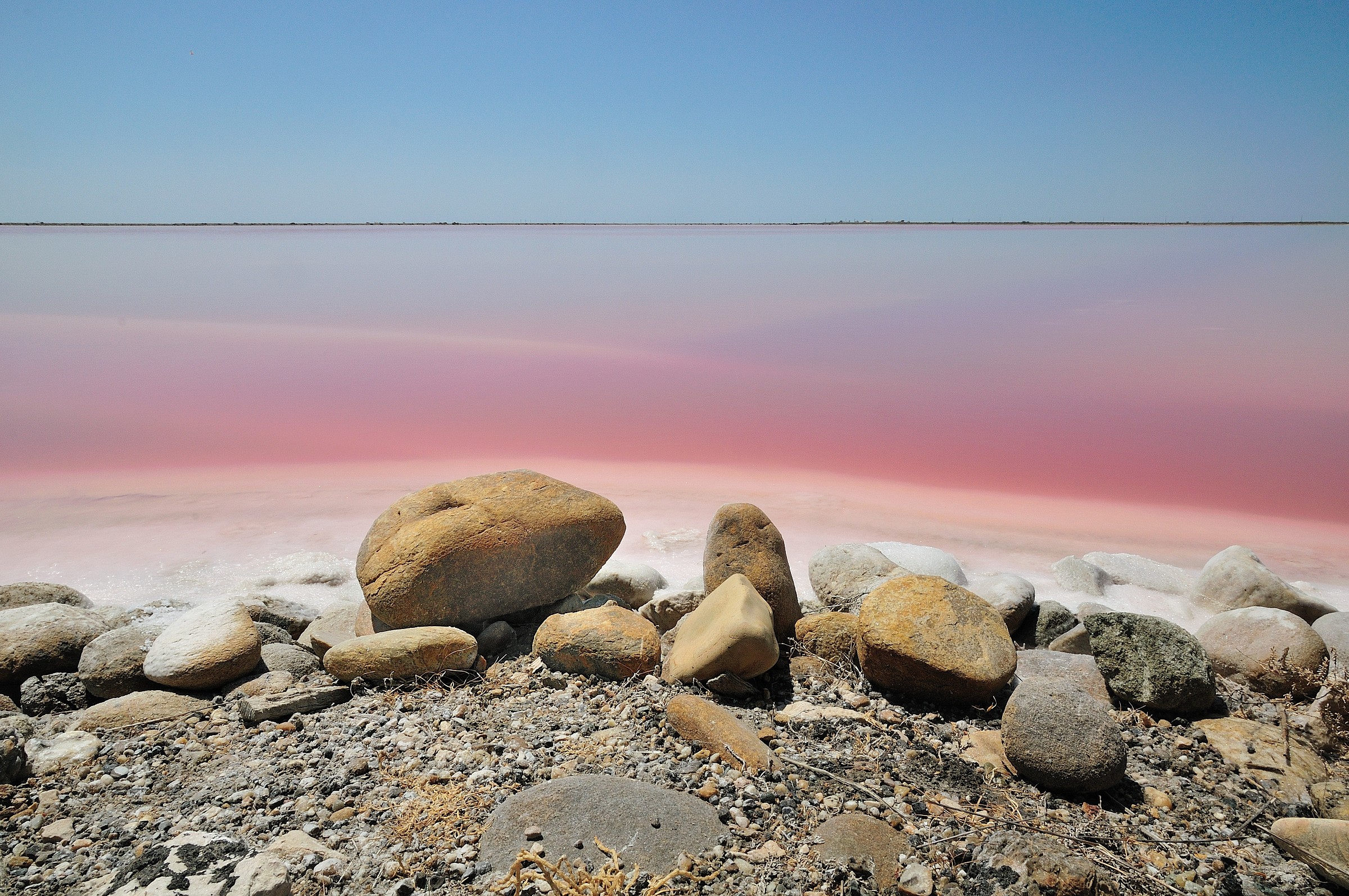 saline di giraud Camargue