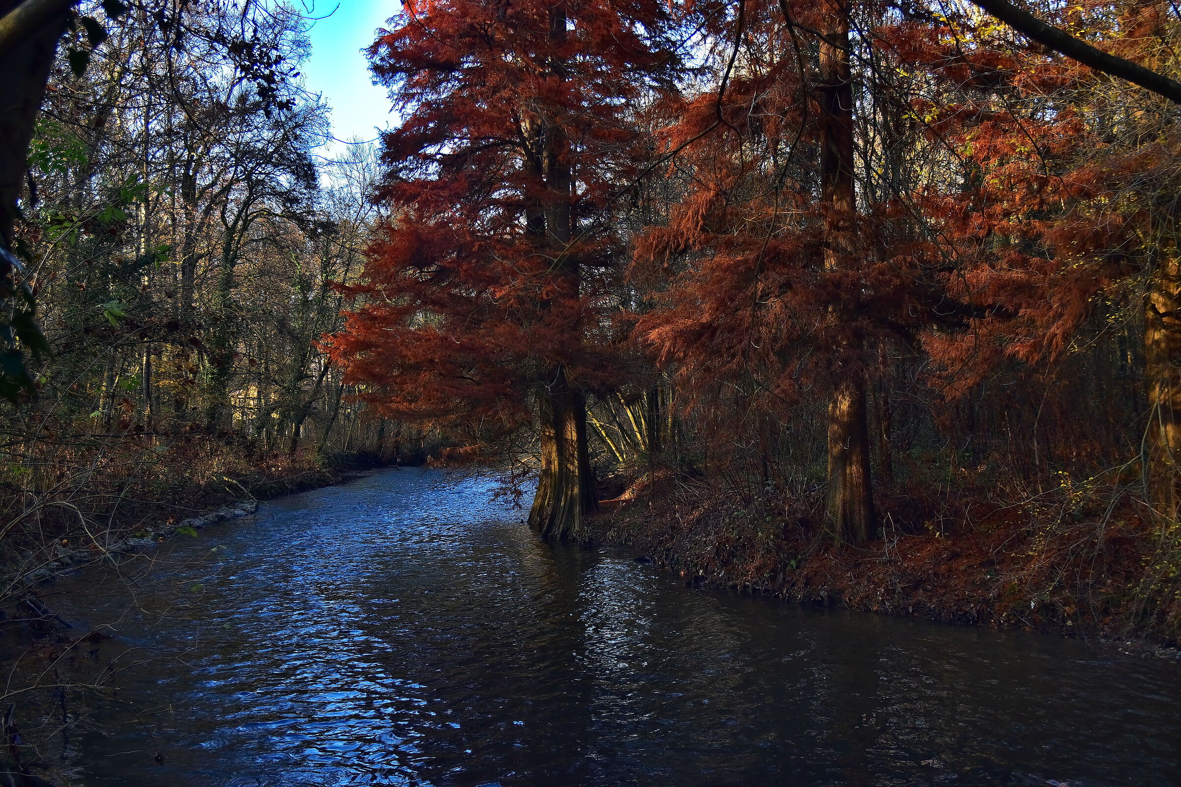 Suggestioni di novembre