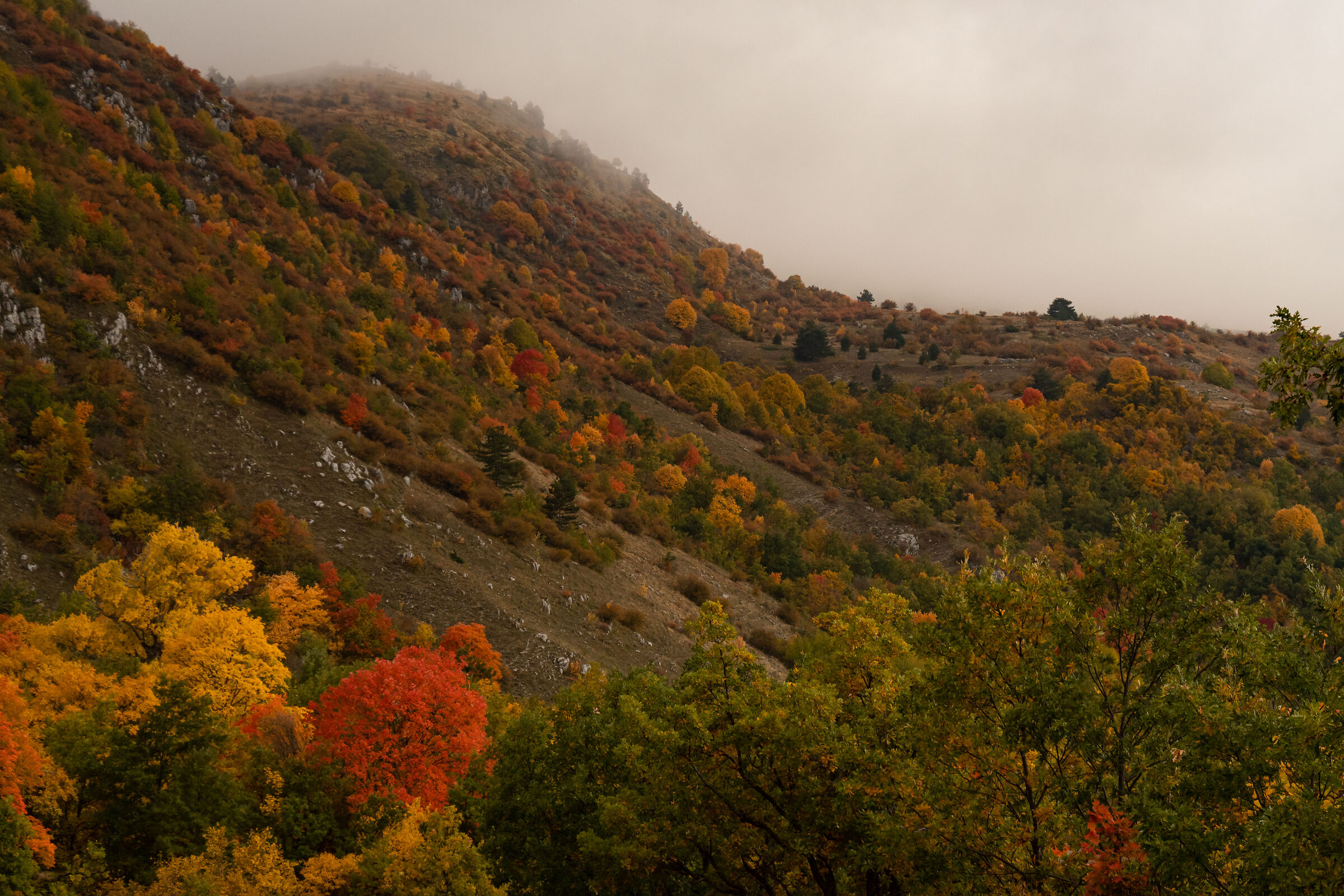 The autumn plateau