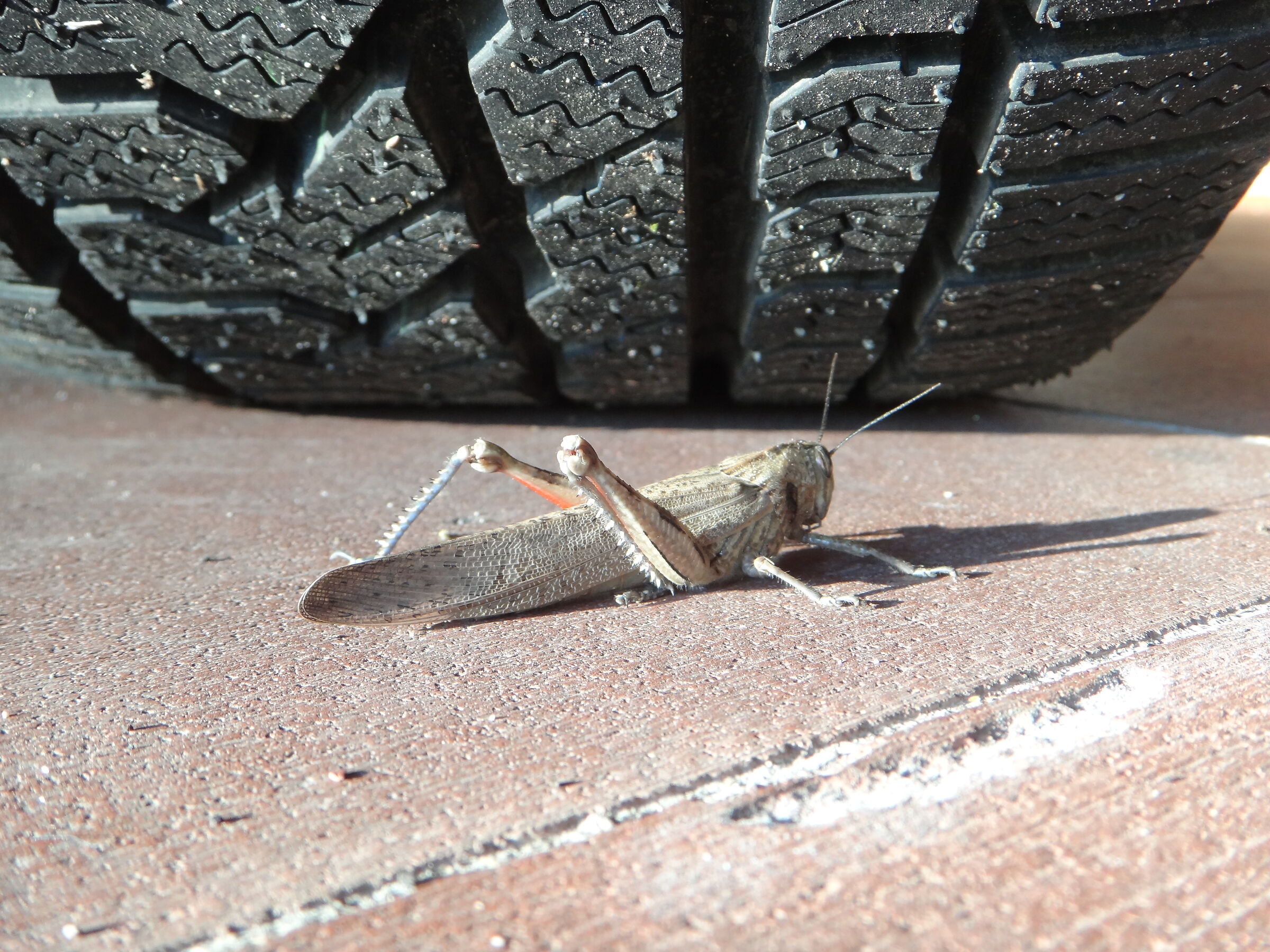 Posizione pericolosa