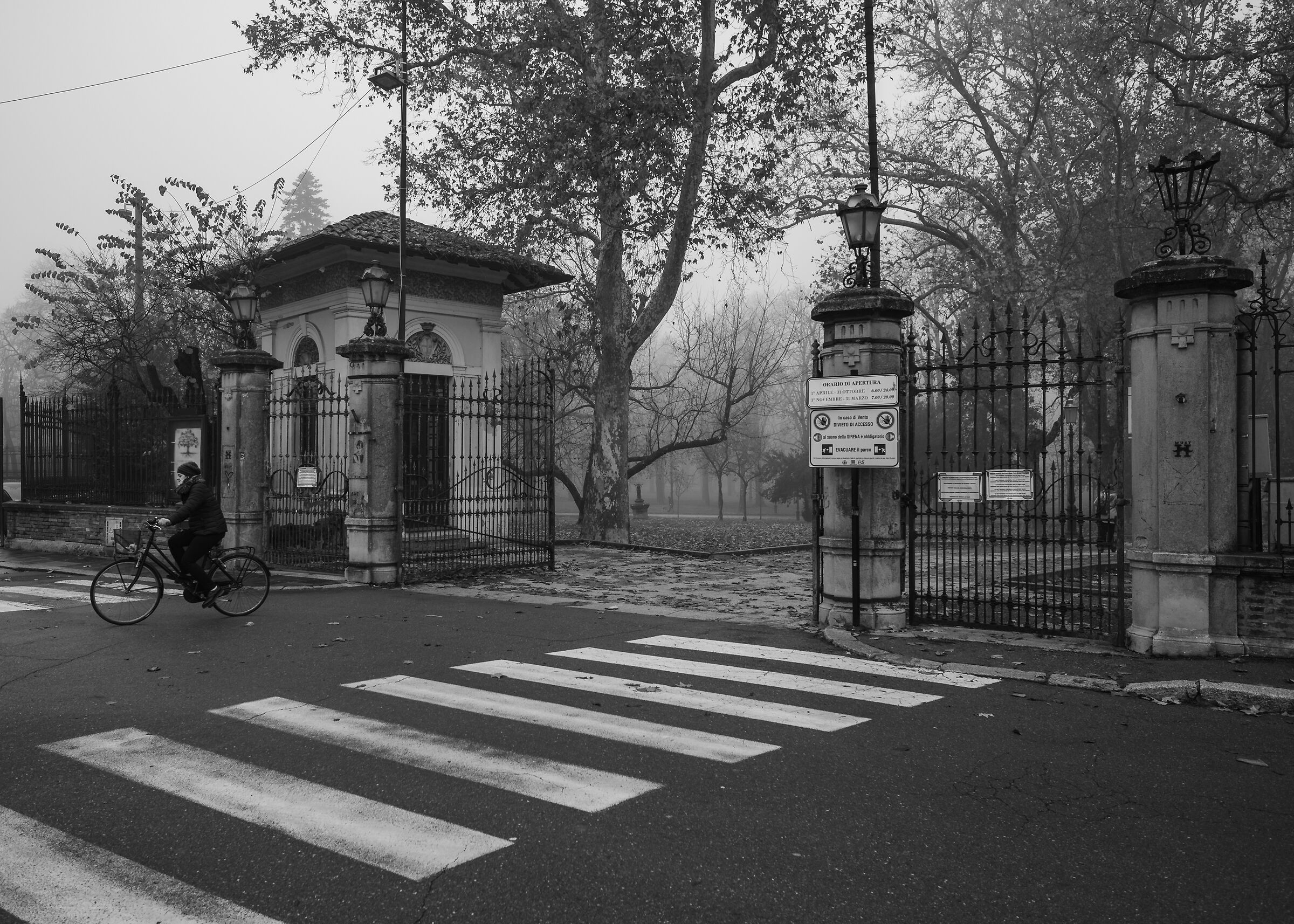 Morning with Nebbia Parco Ducale (PR)