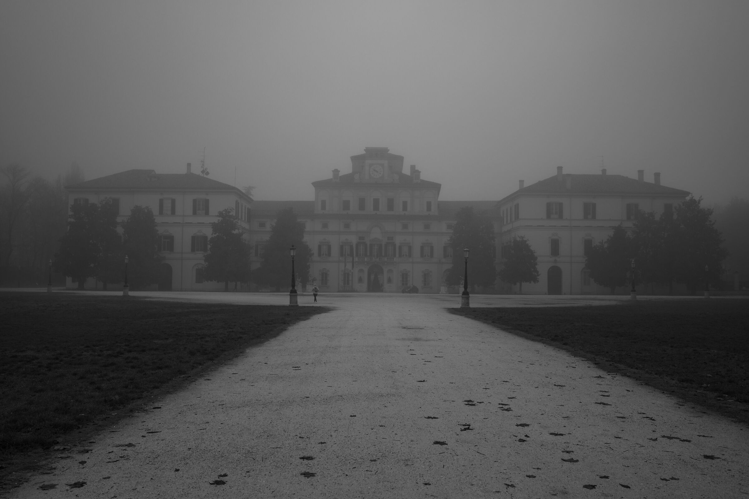 Morning with fog Parco Ducale (PR)