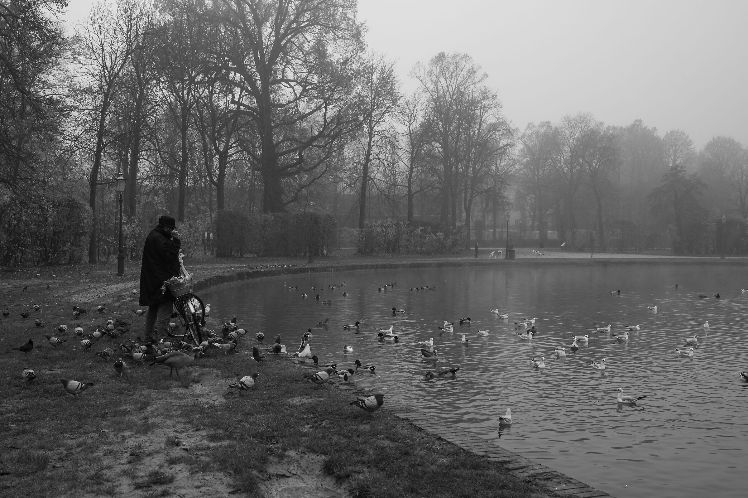 Pool of the Ducal Park (PR)
