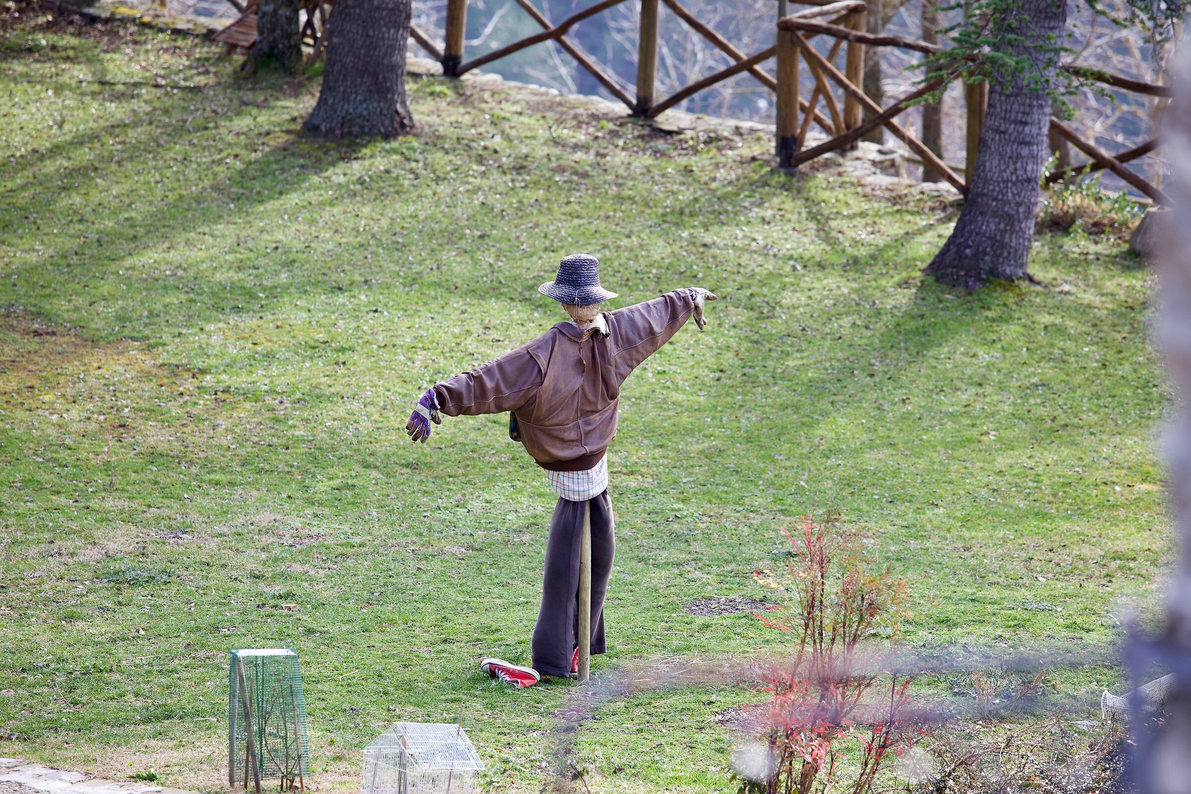 Incontri ravvicinati.