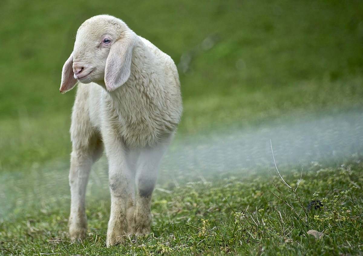 I wonder where my Mom is