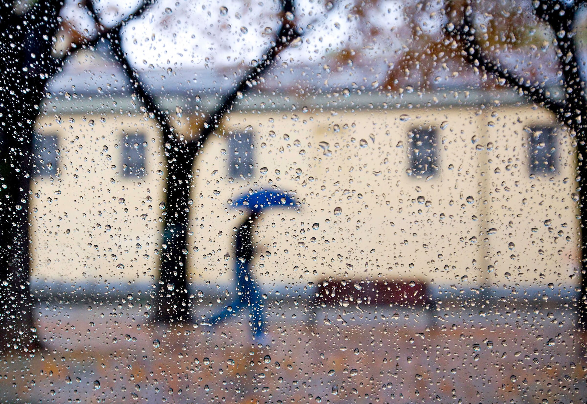 A rainy day.....