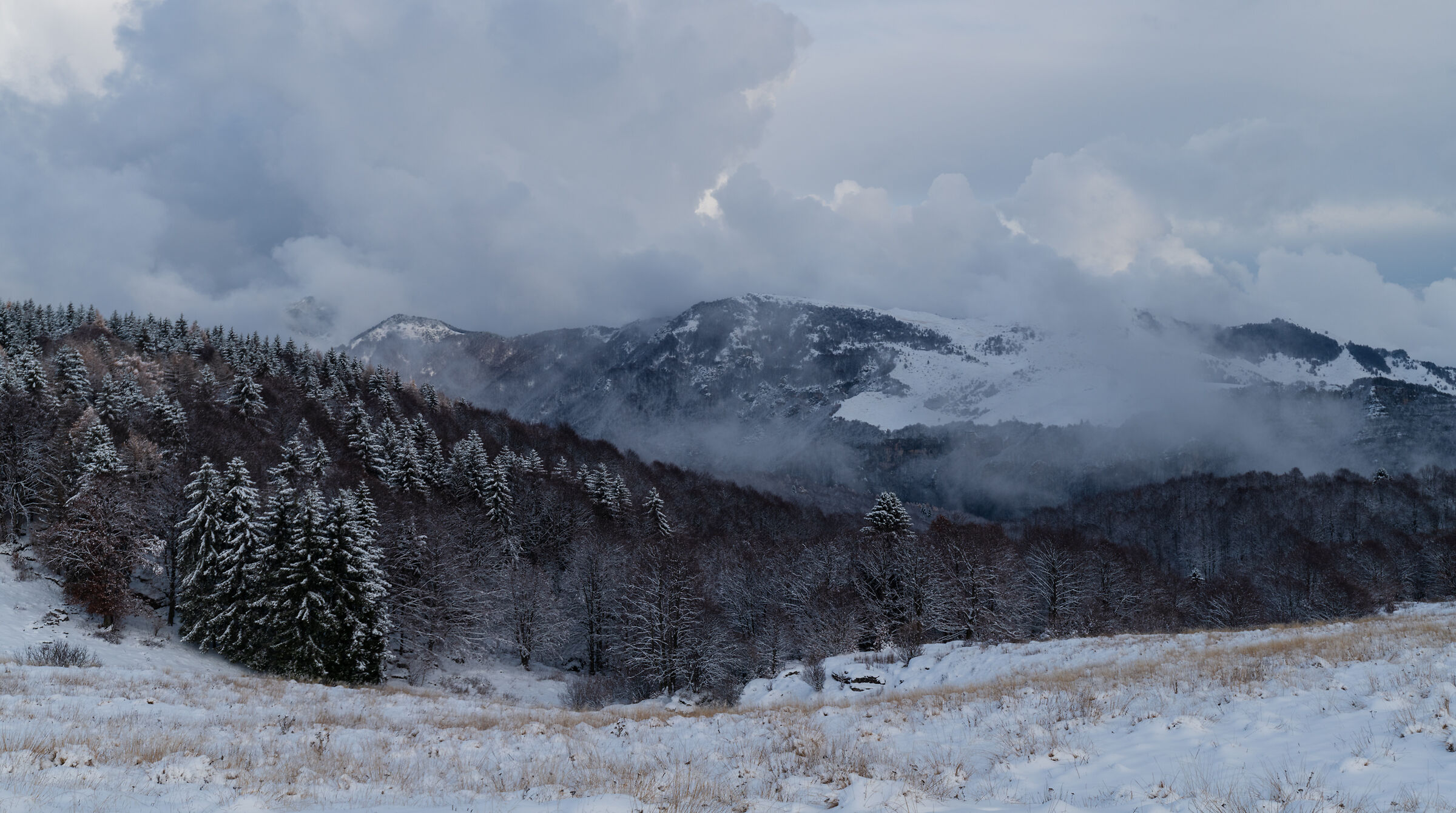 First snow