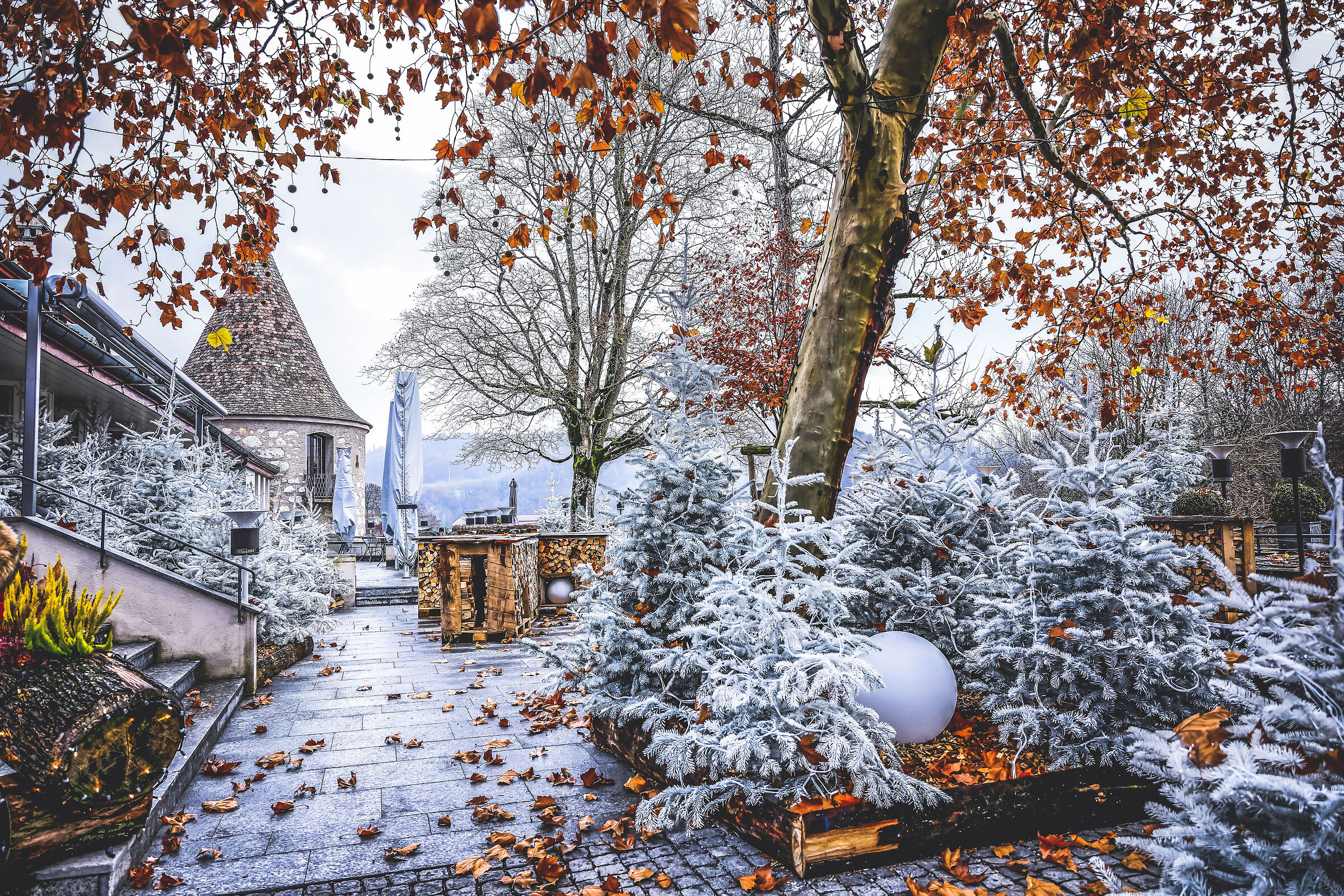 Dove cominciano le favole