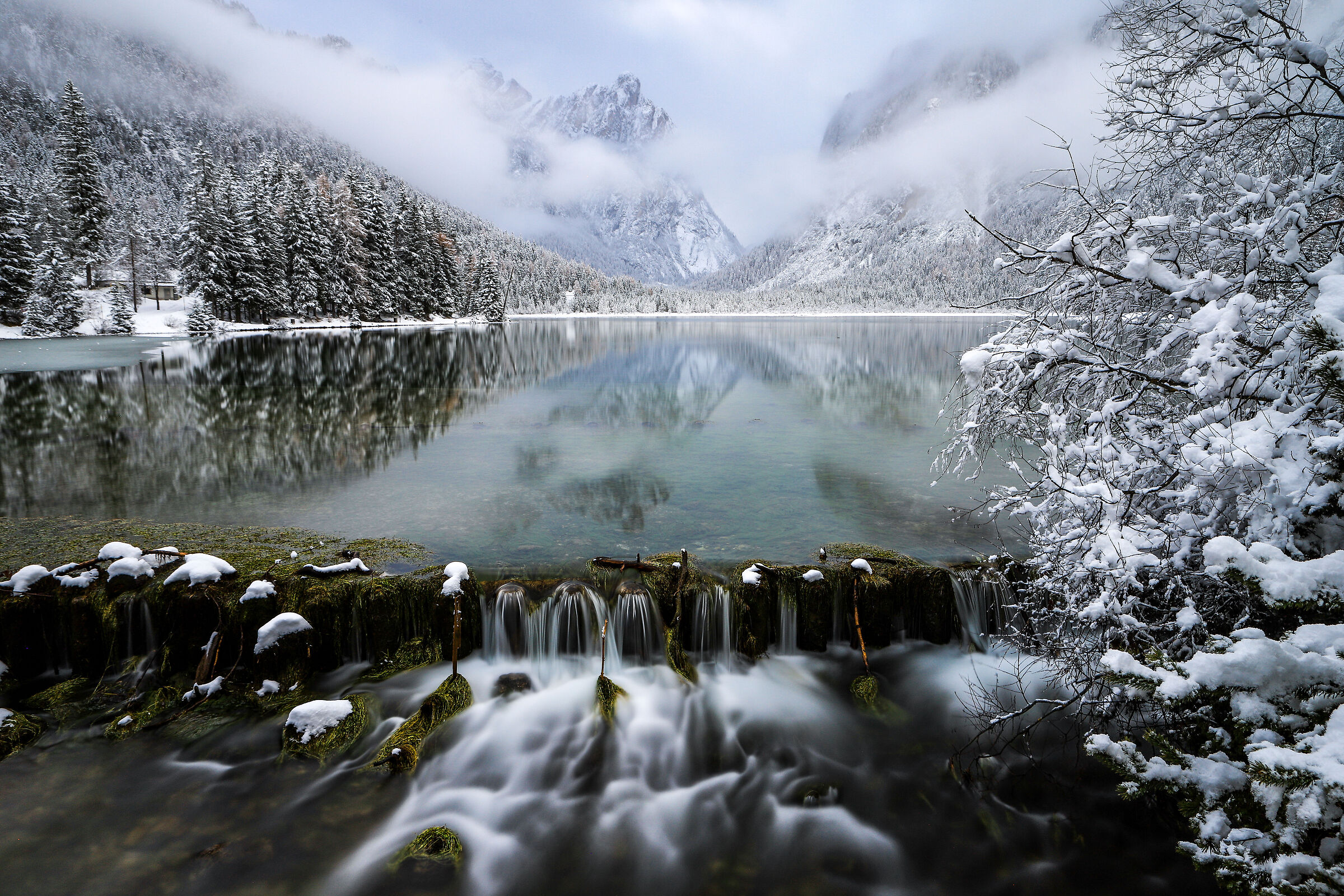 Untitled Photo