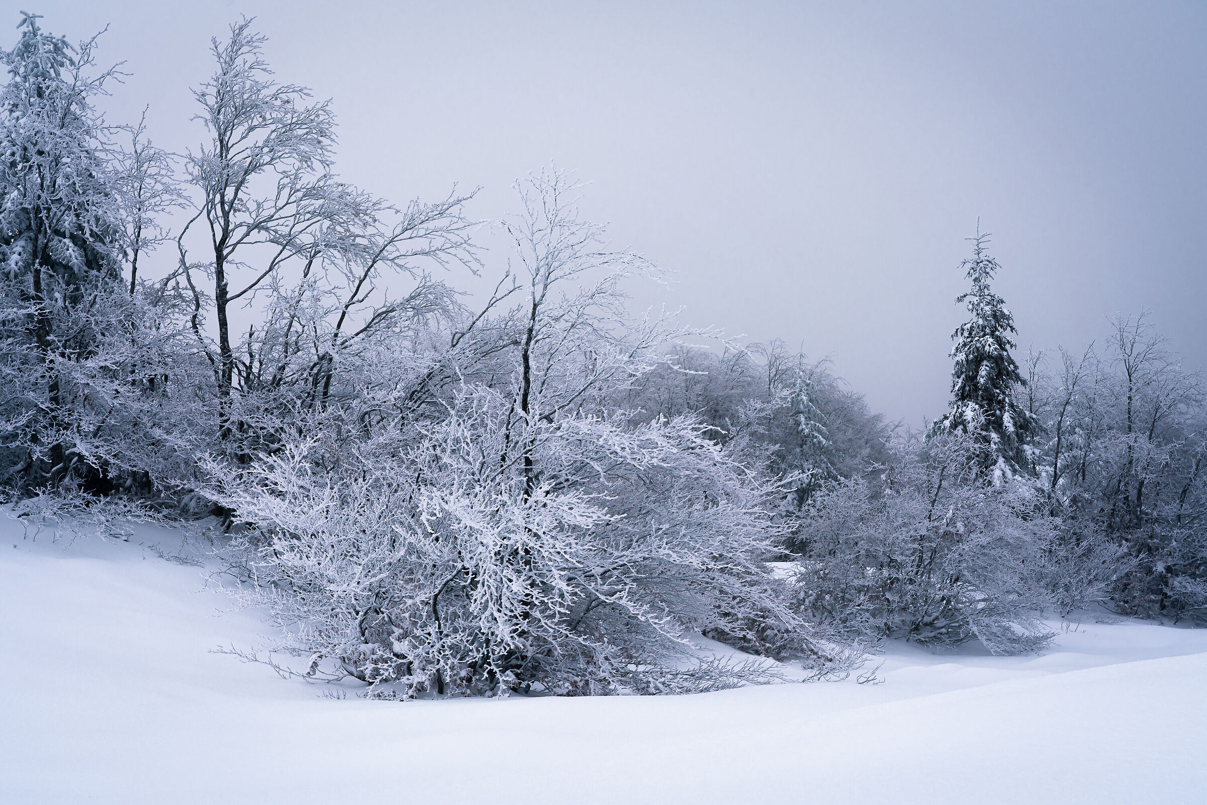 Prima neve in Appennino - Lago Nero, Novembre 2021