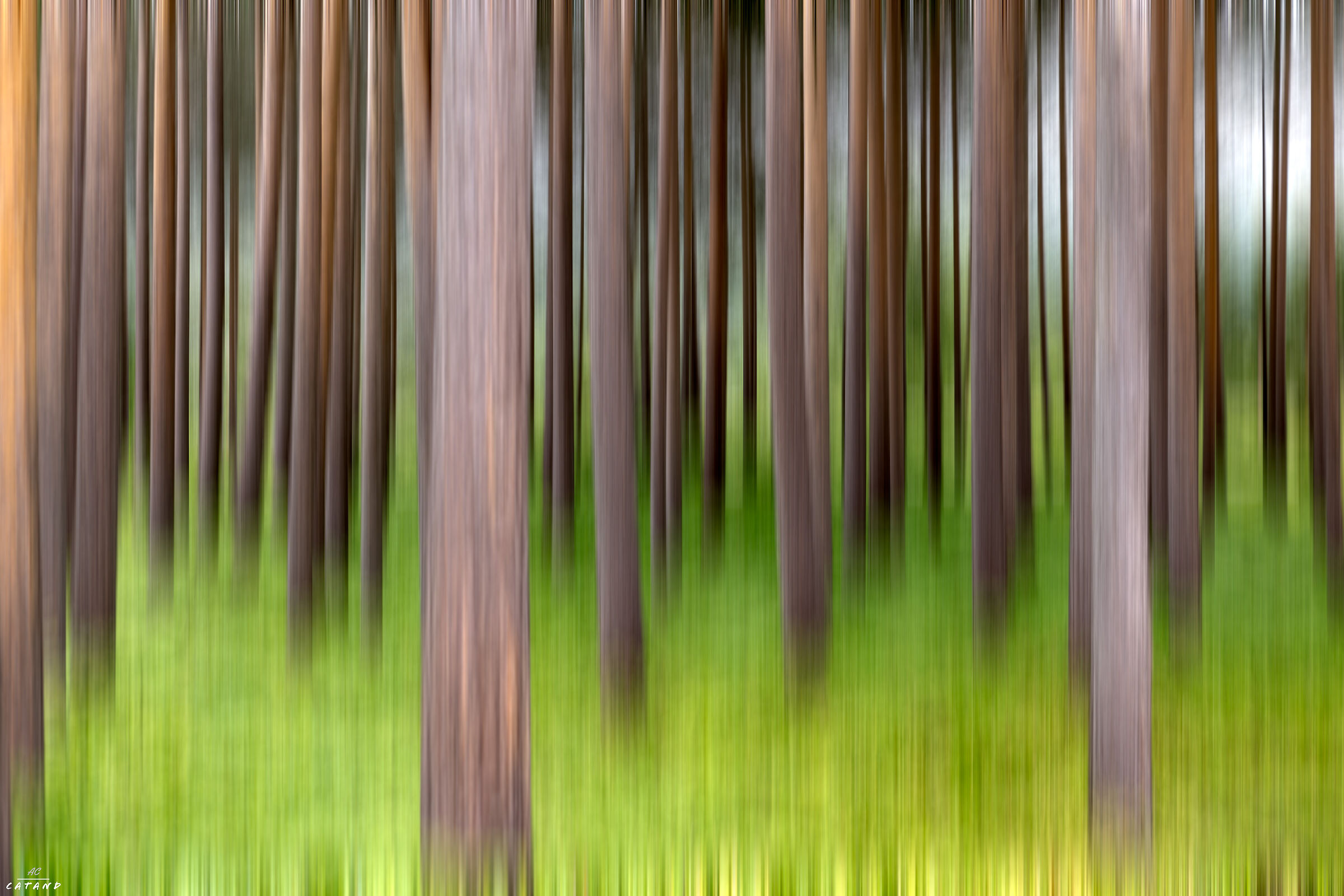 AbstractLandscape #7