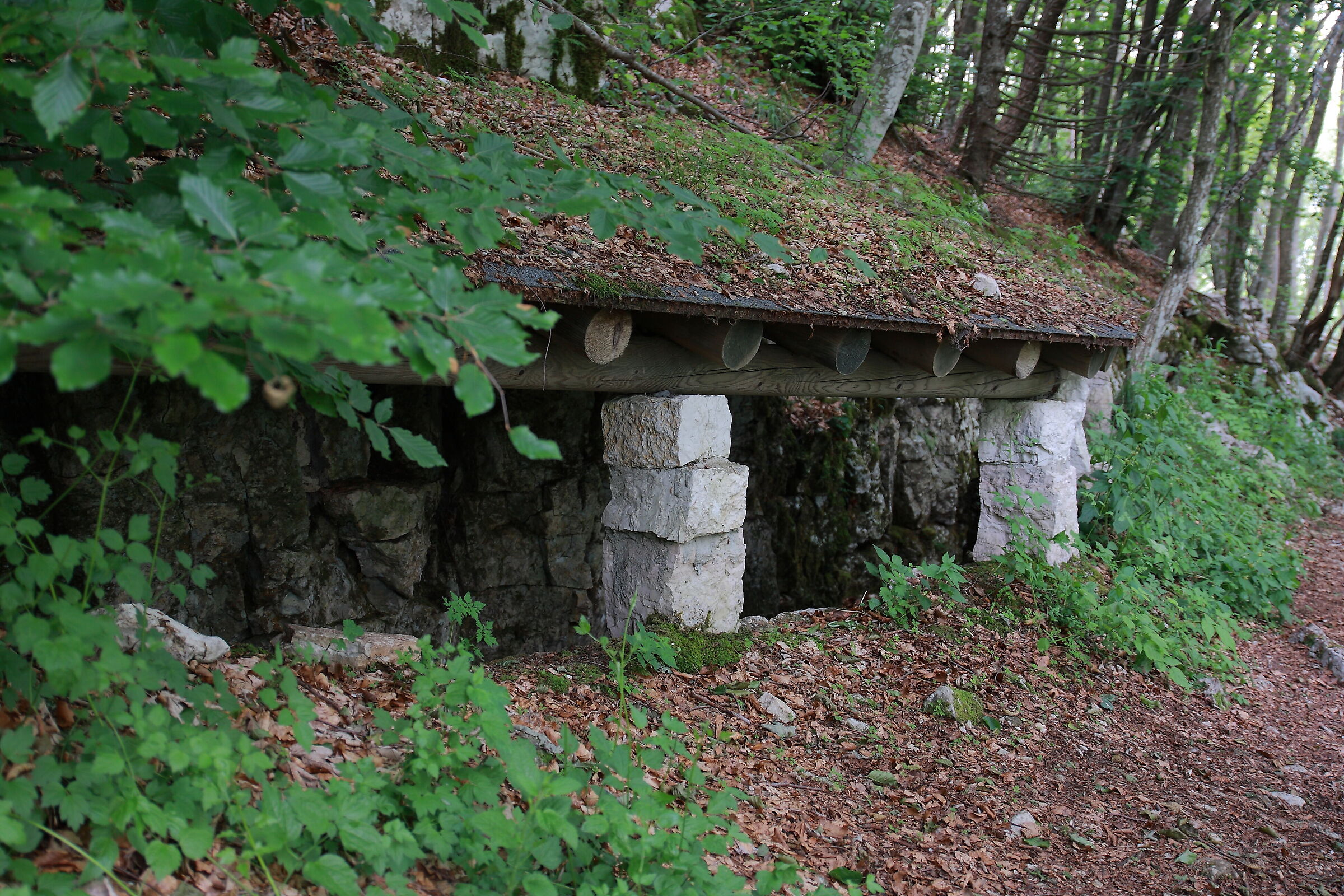 The trenches of Col Campeggia