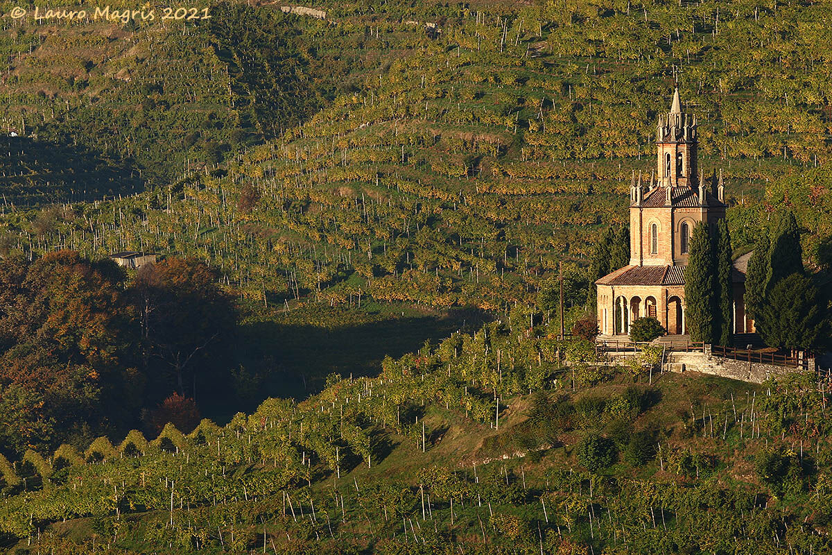 Immerso tra i vigneti