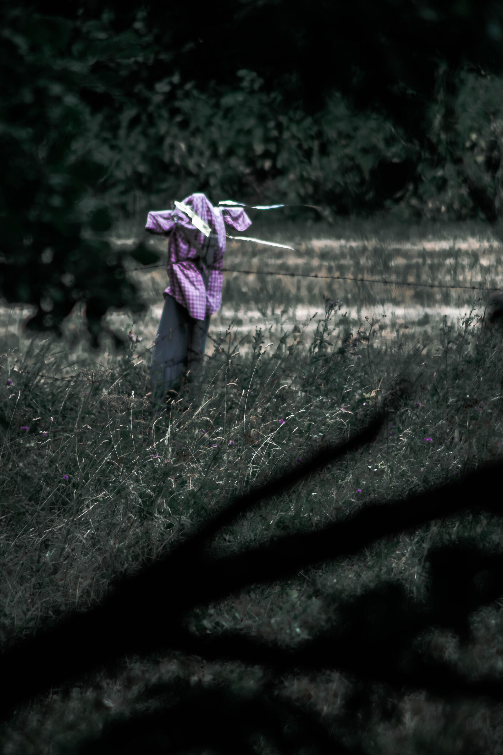 Scarecrow