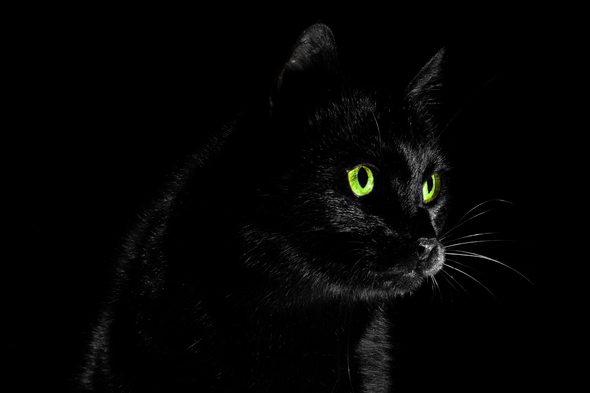 Il fascino del nero...con un tocco di verde