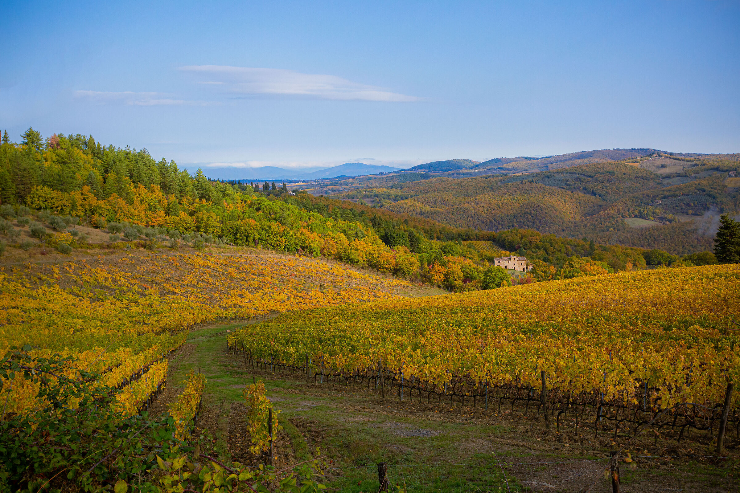 On the way to San Gimignano