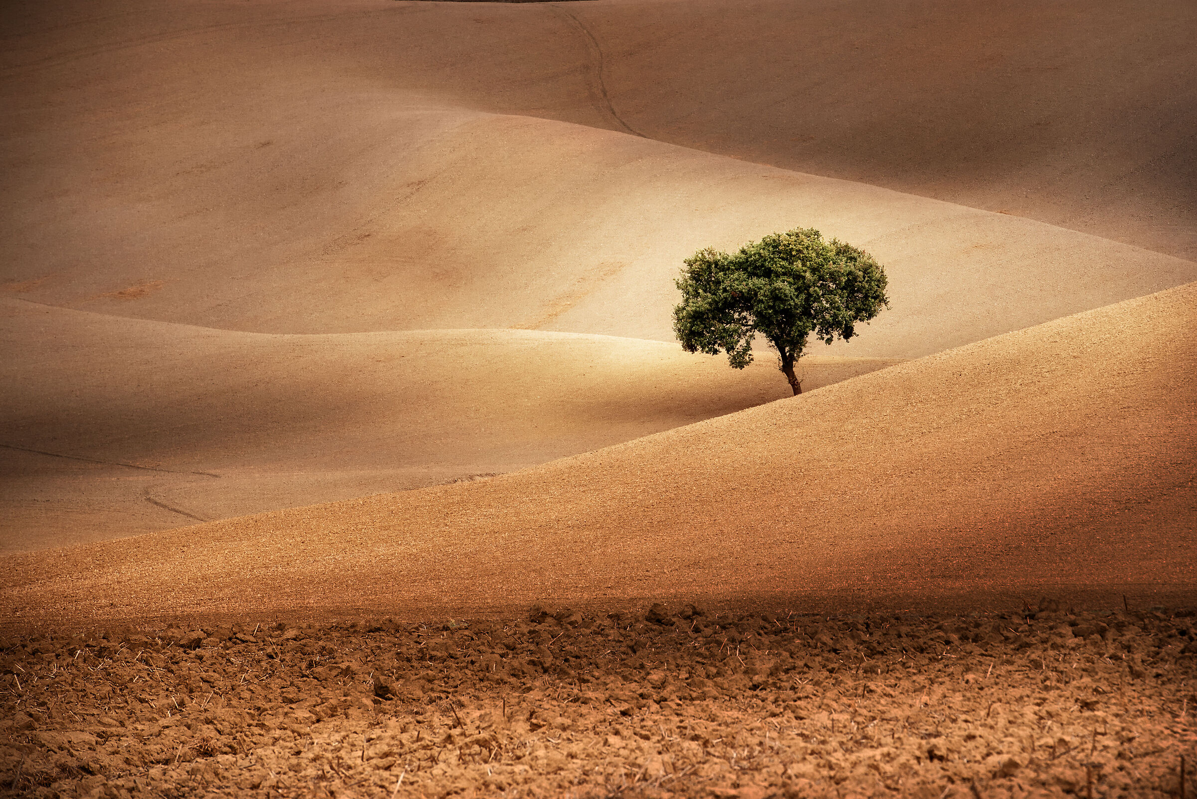 crete senesi