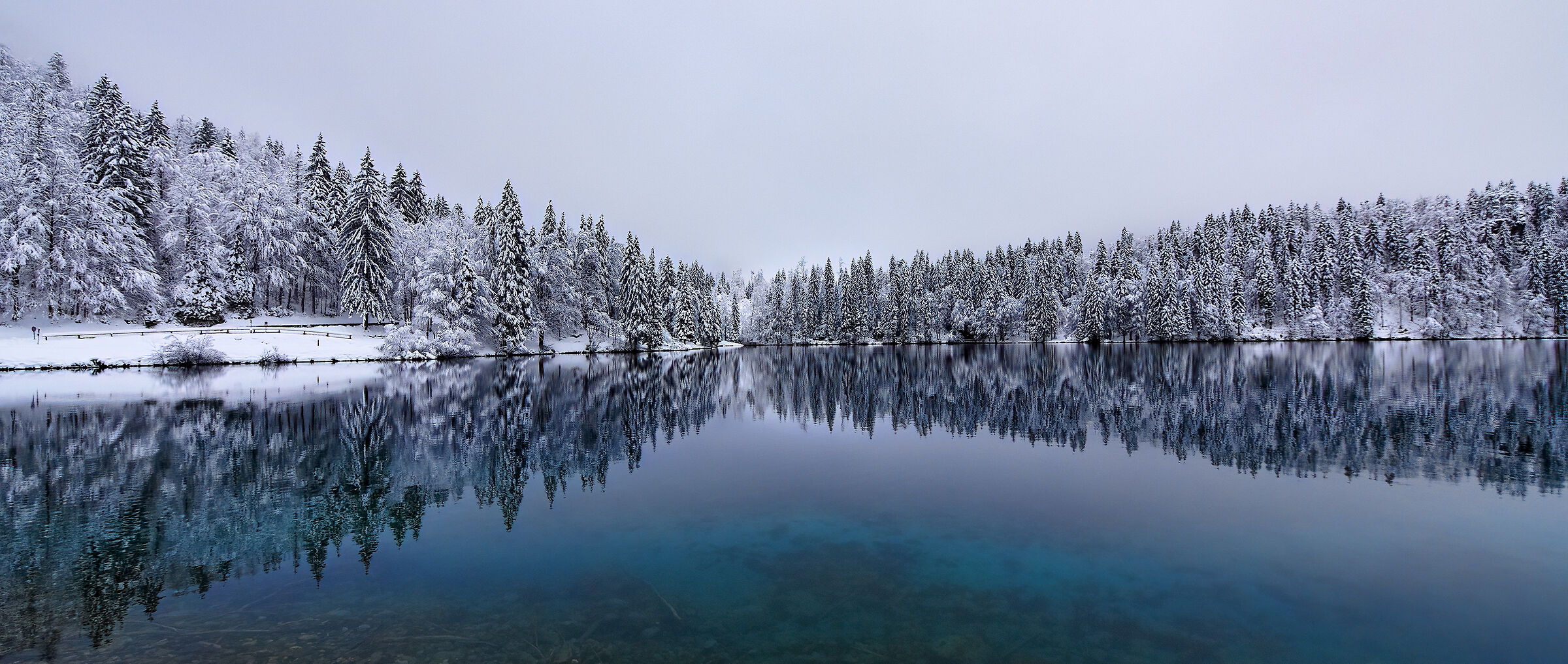 Lago inferiore di fusine 28/11/2021