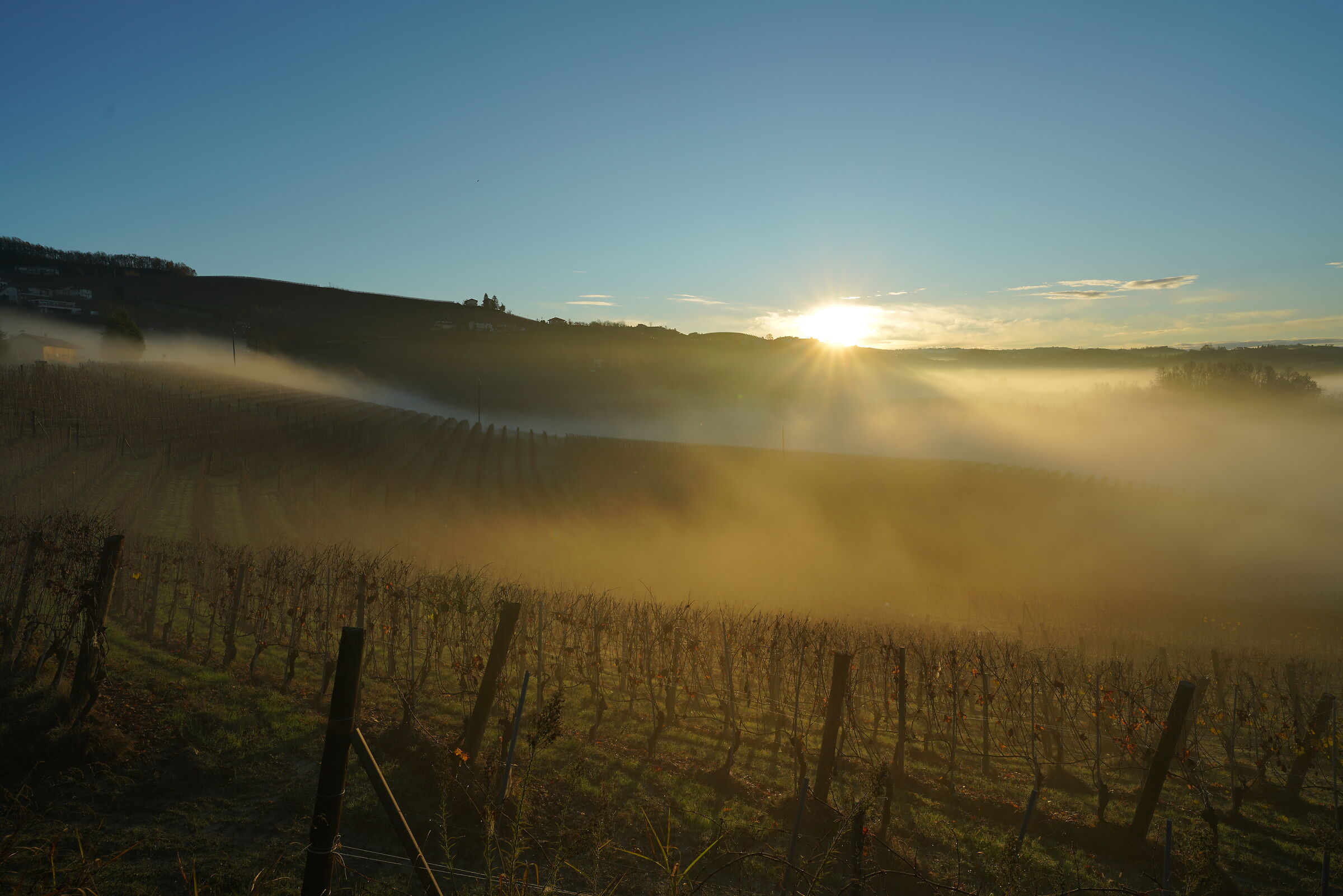 risveglio nelle Langhe