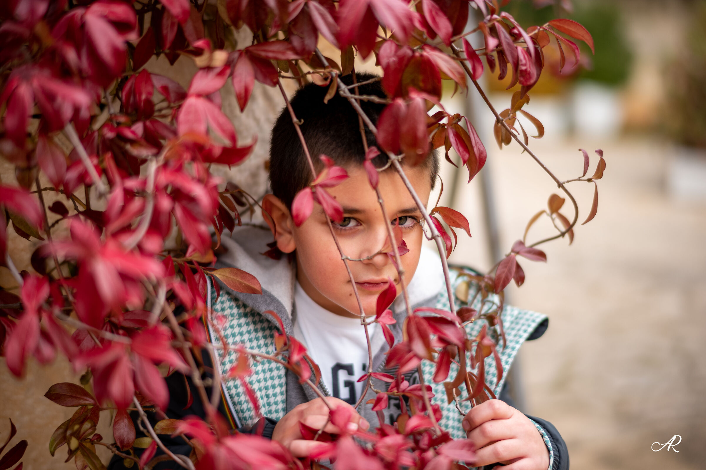 I colori dell'autunno