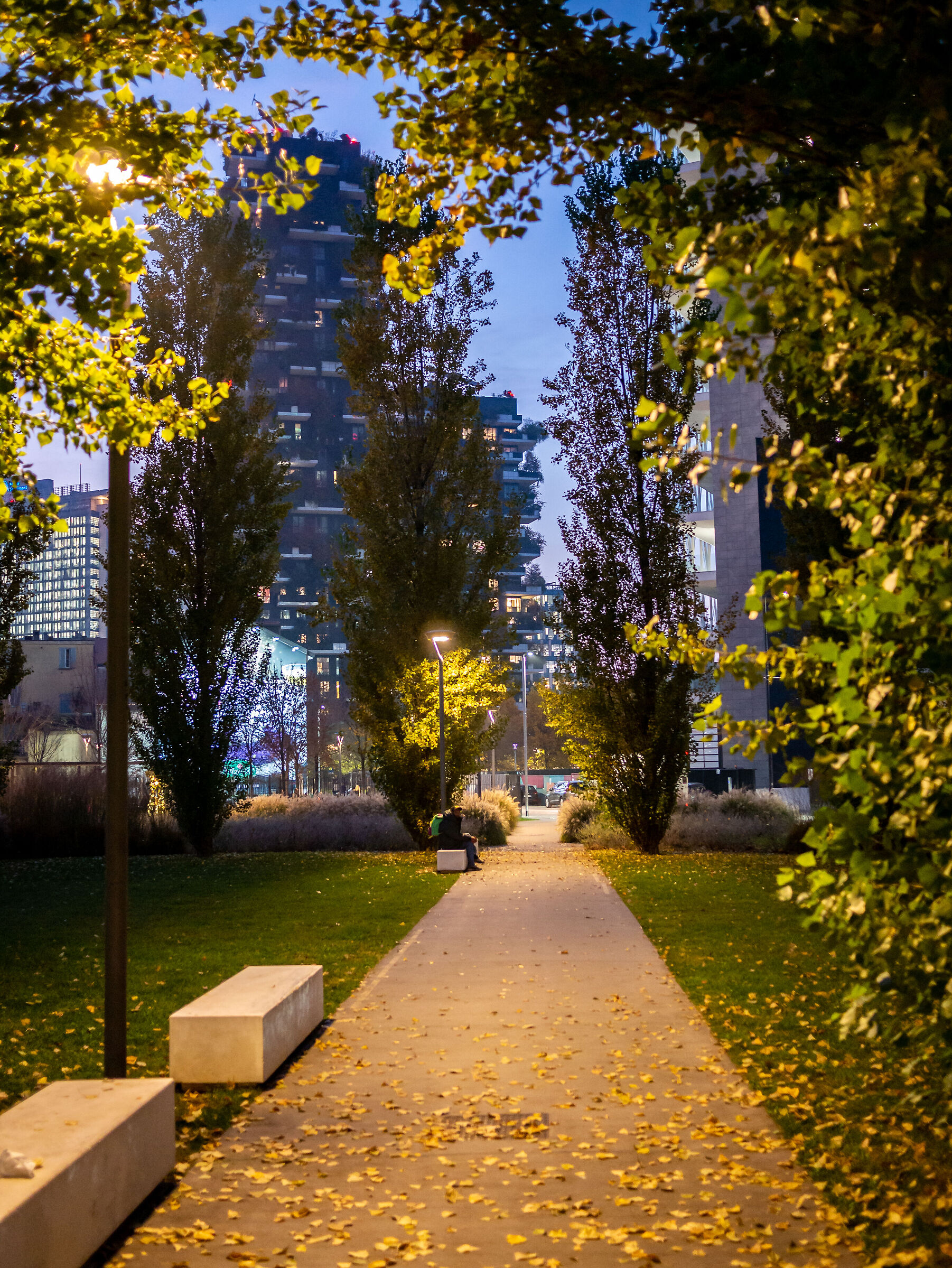 Tree Library - Milan