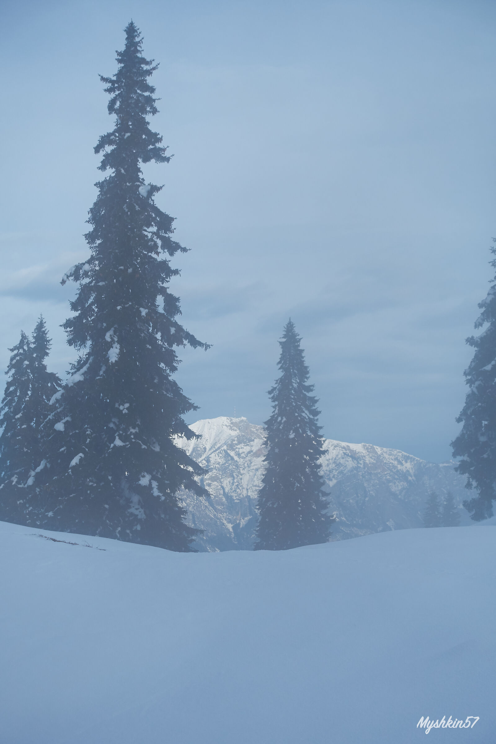 Uscendo dalla nebbia