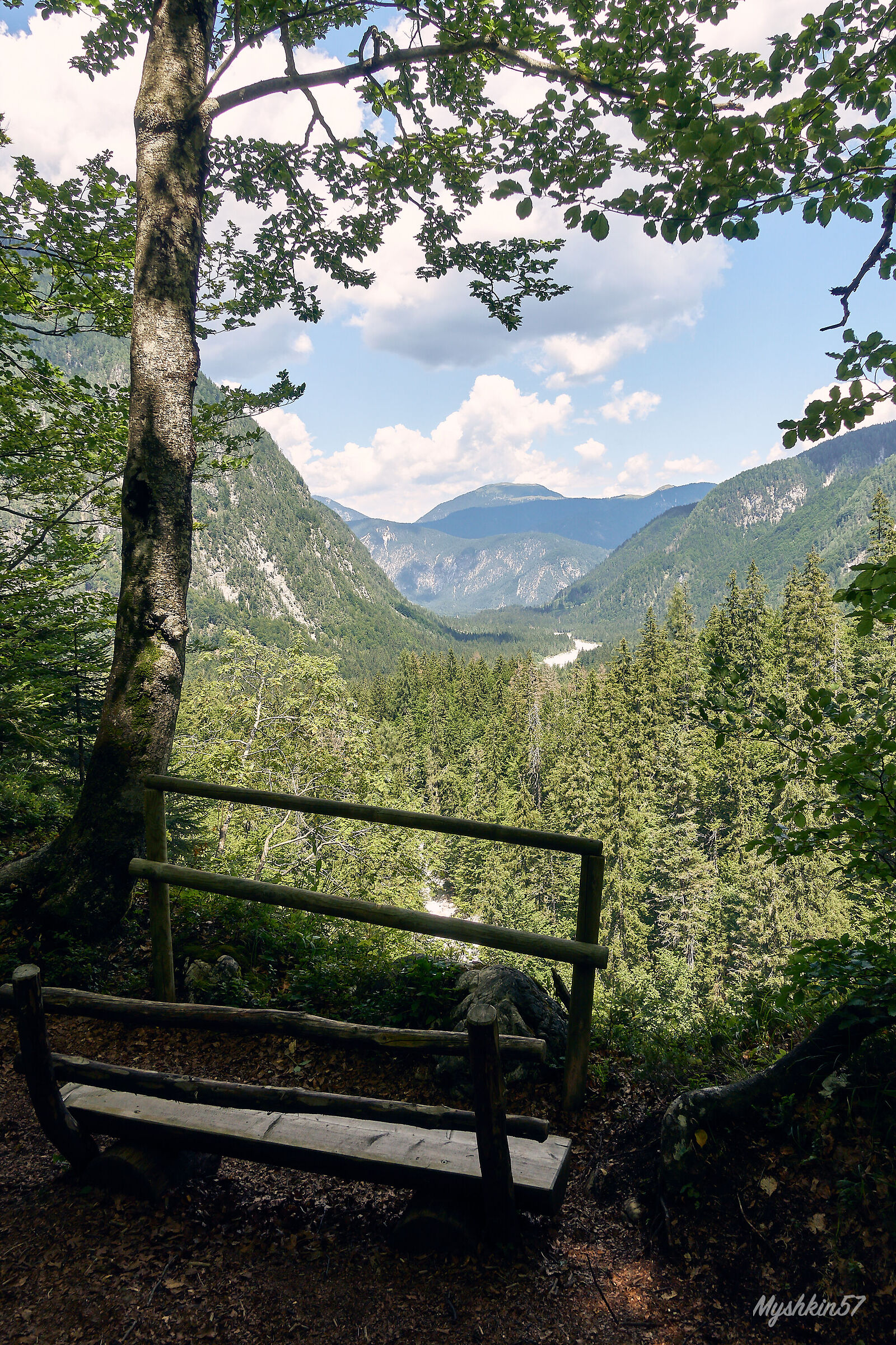 Una panchina in Val Saisera