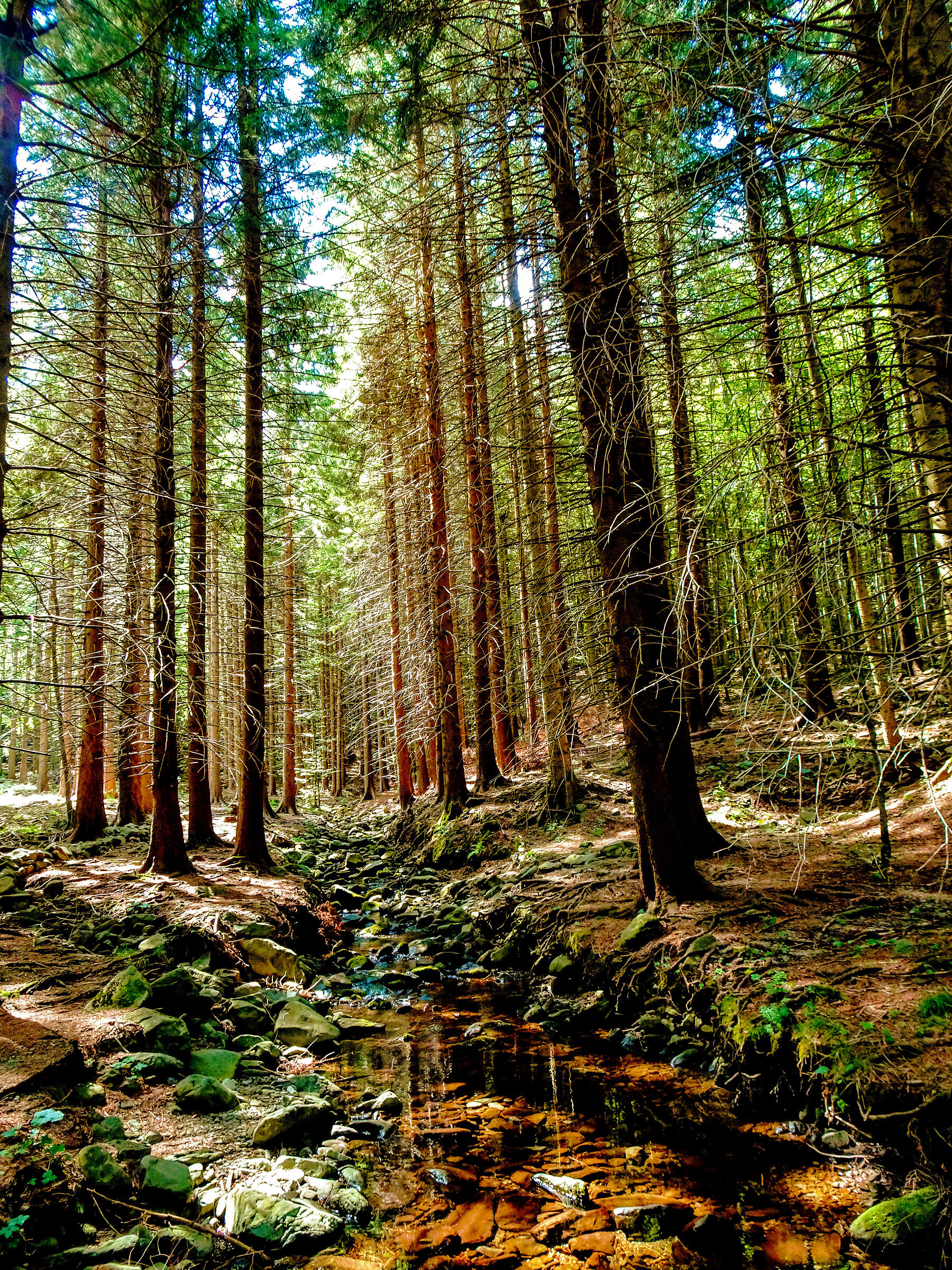 The breath of nature