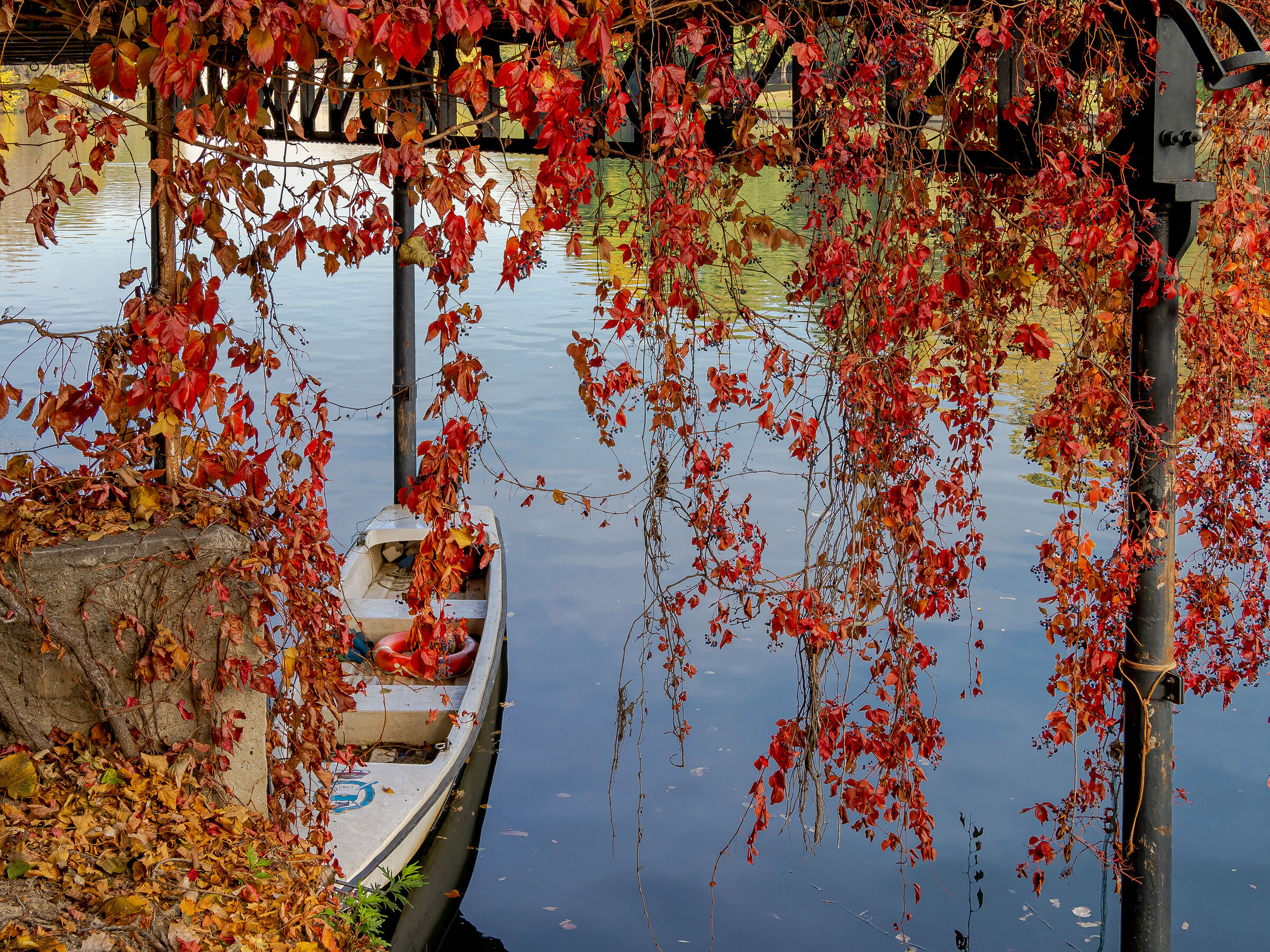 Autunnale....