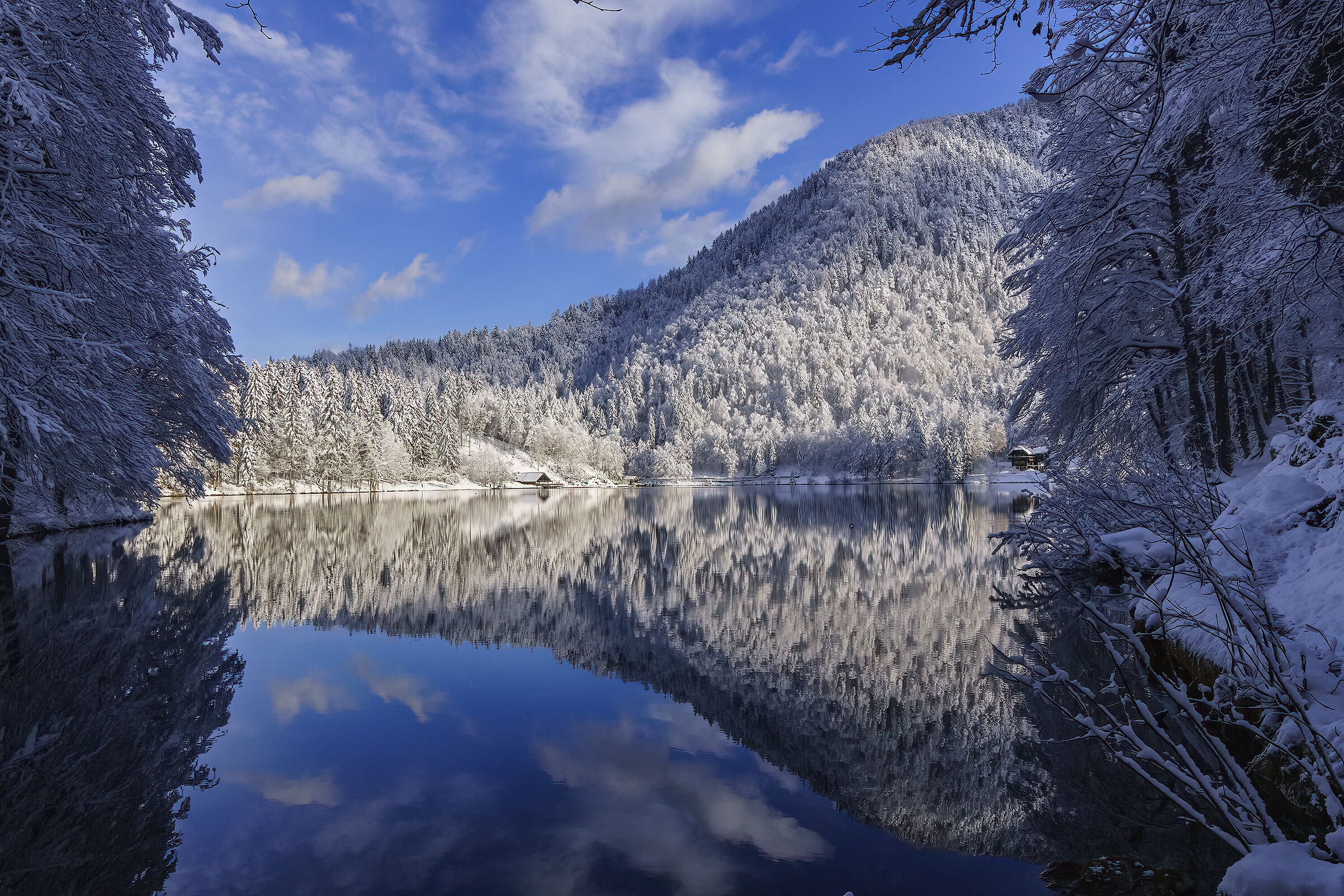 Riflessi alla prima neve