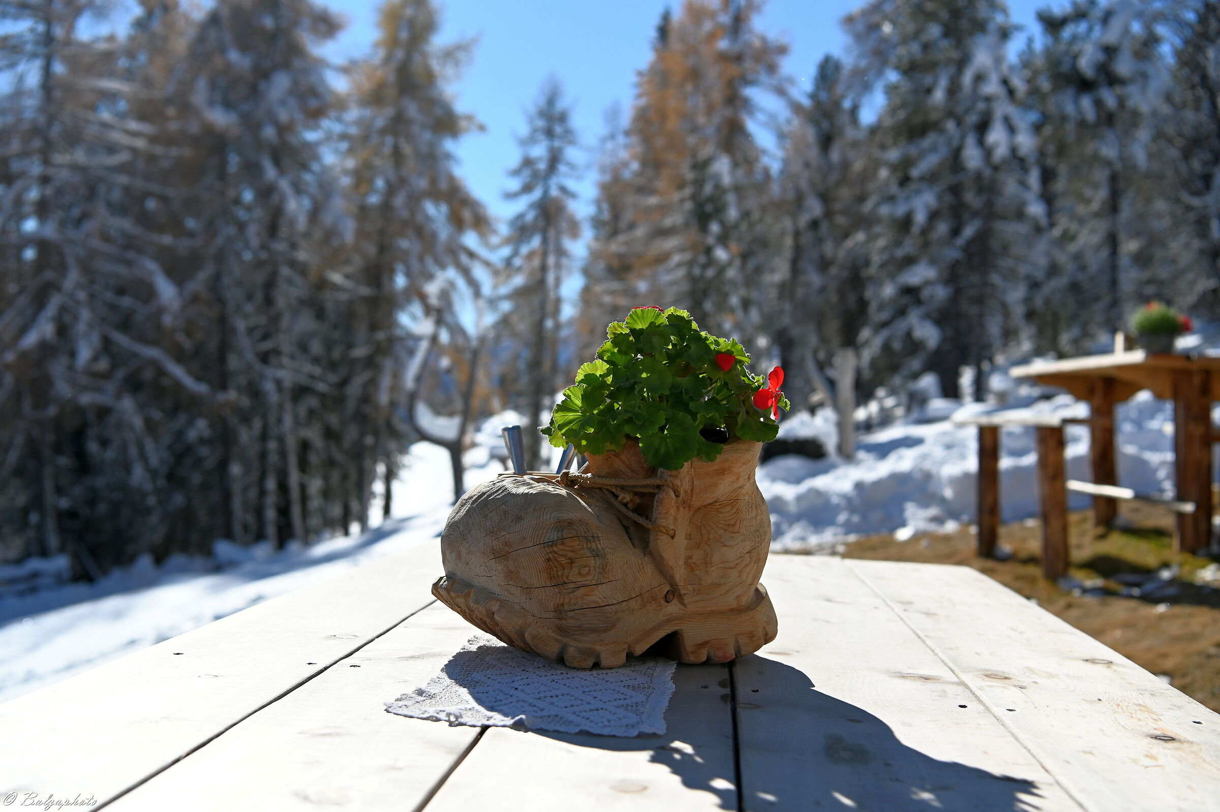 Home is where you feel the wood under your bare feet