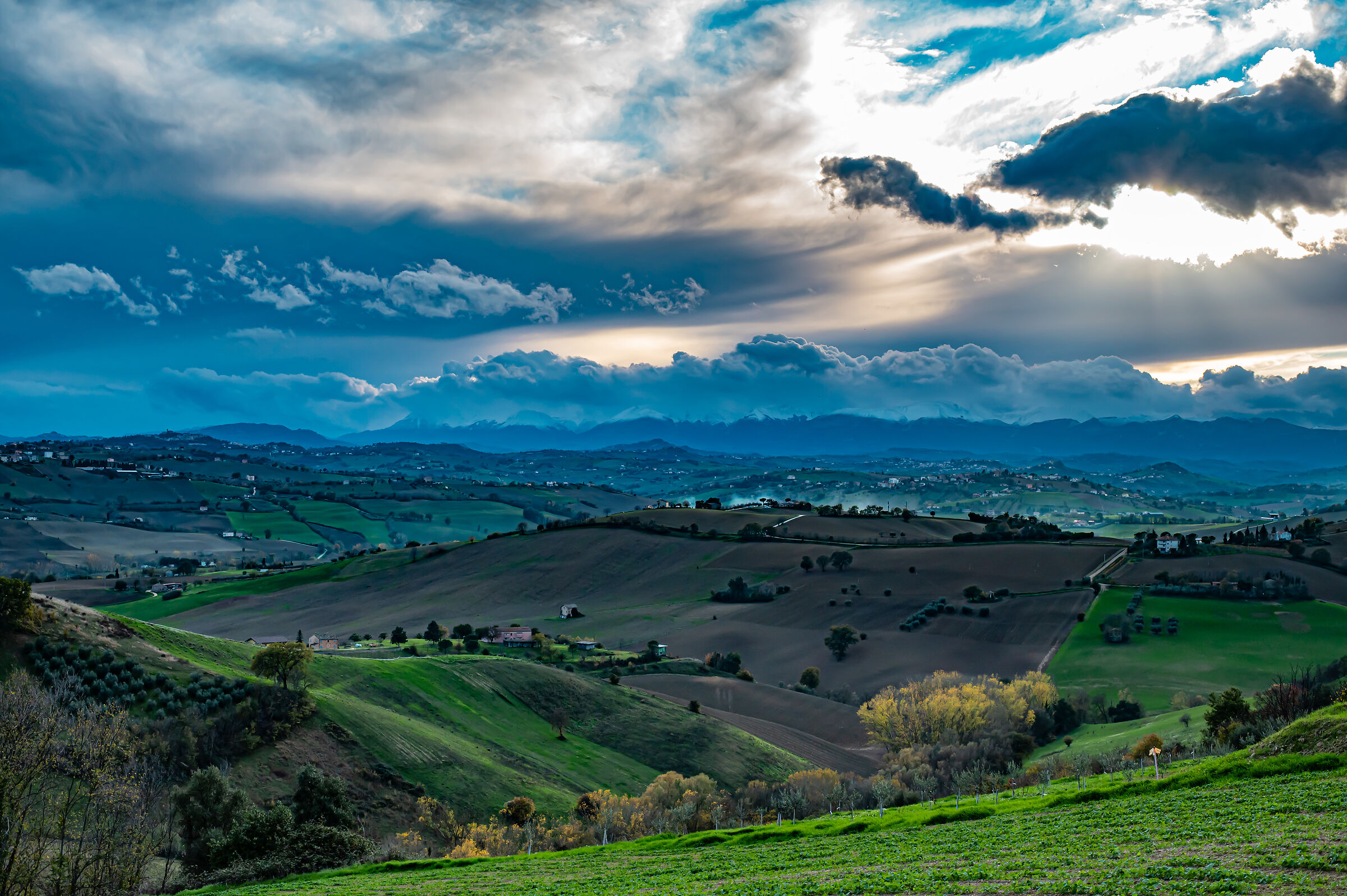 Le Marche
