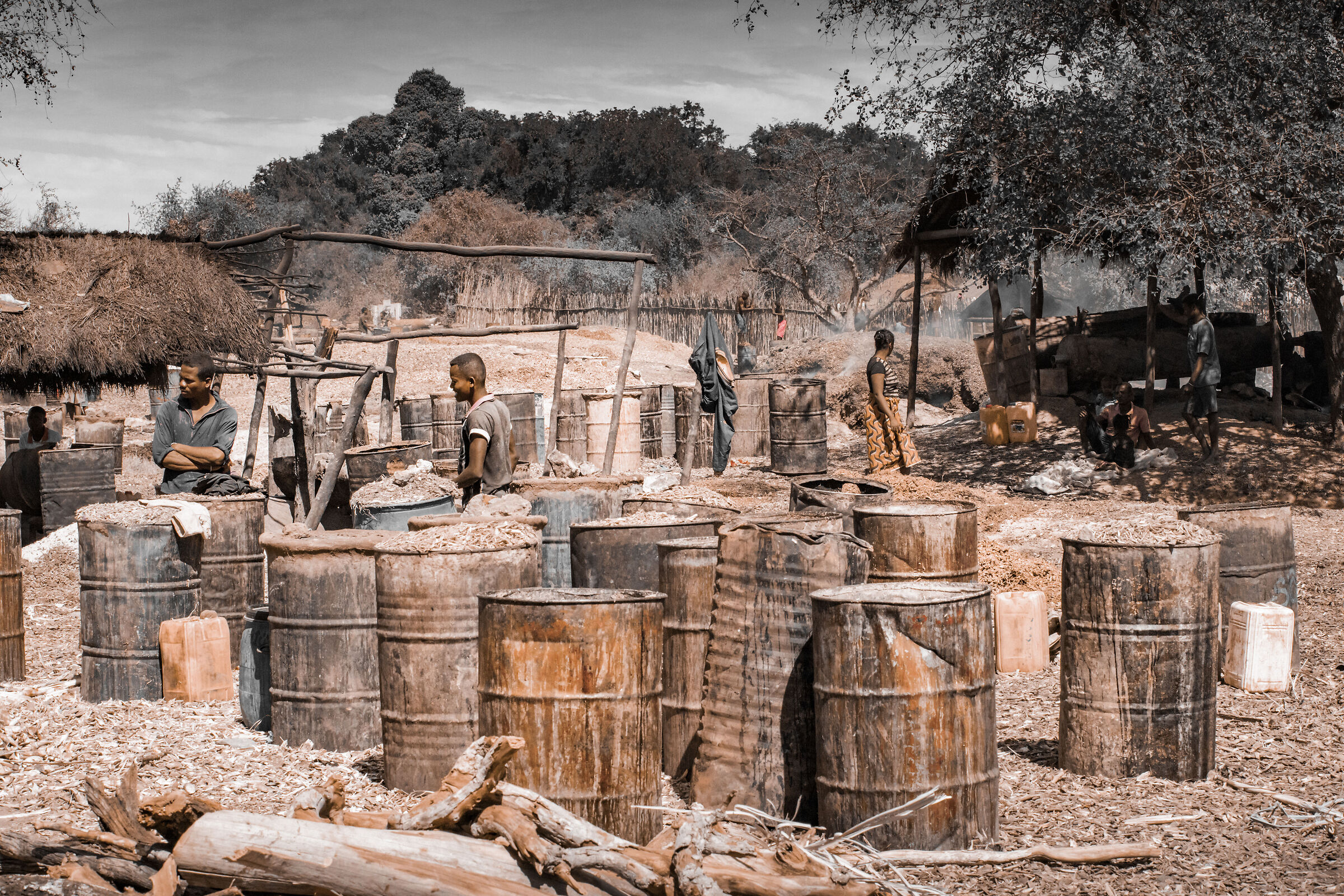 THE making OF THE RUM