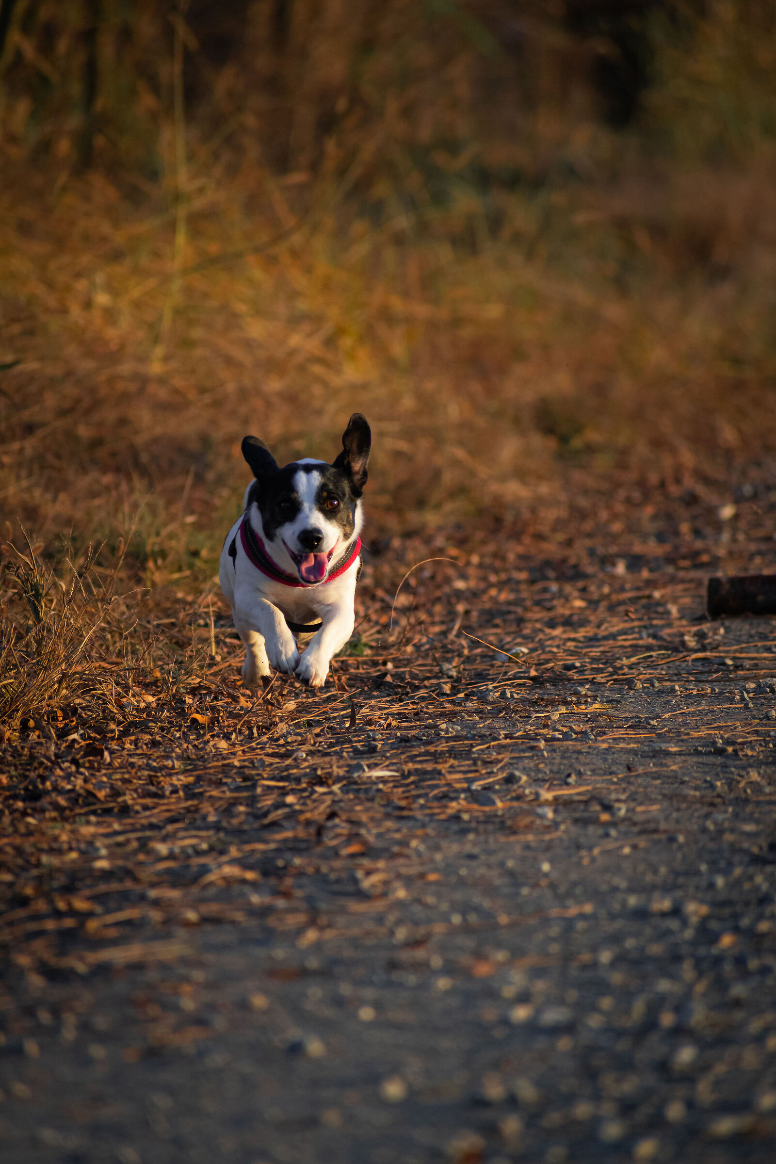 My little Zoe ???? ?