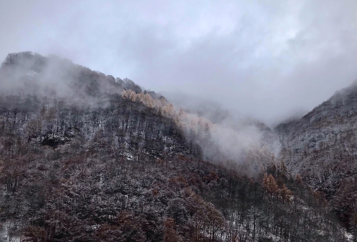 The heart in the cloud