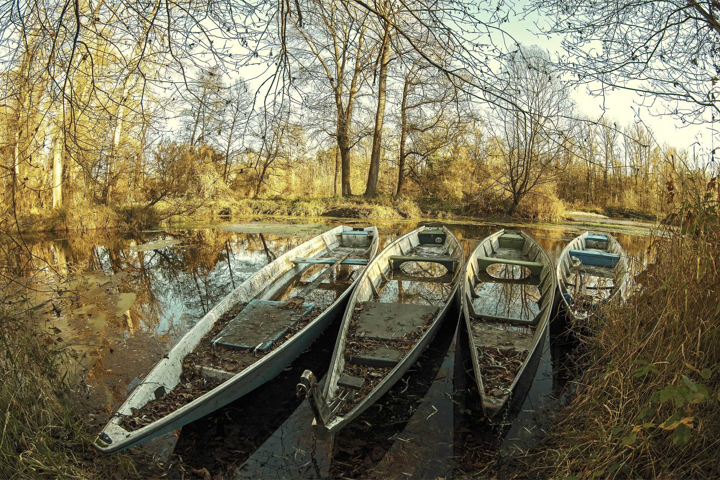 Riflessi