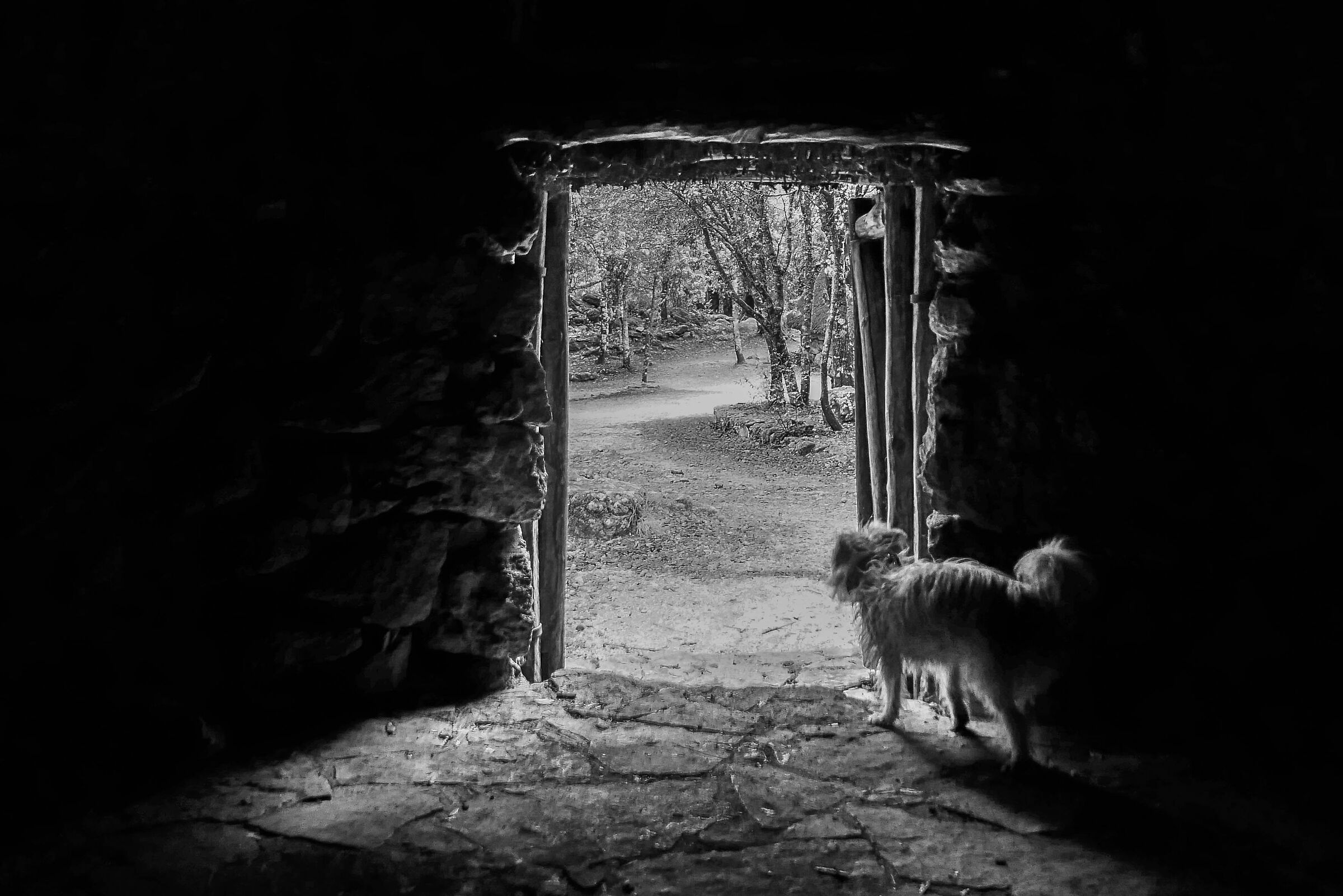 Dora in the pinneto. Sardinia