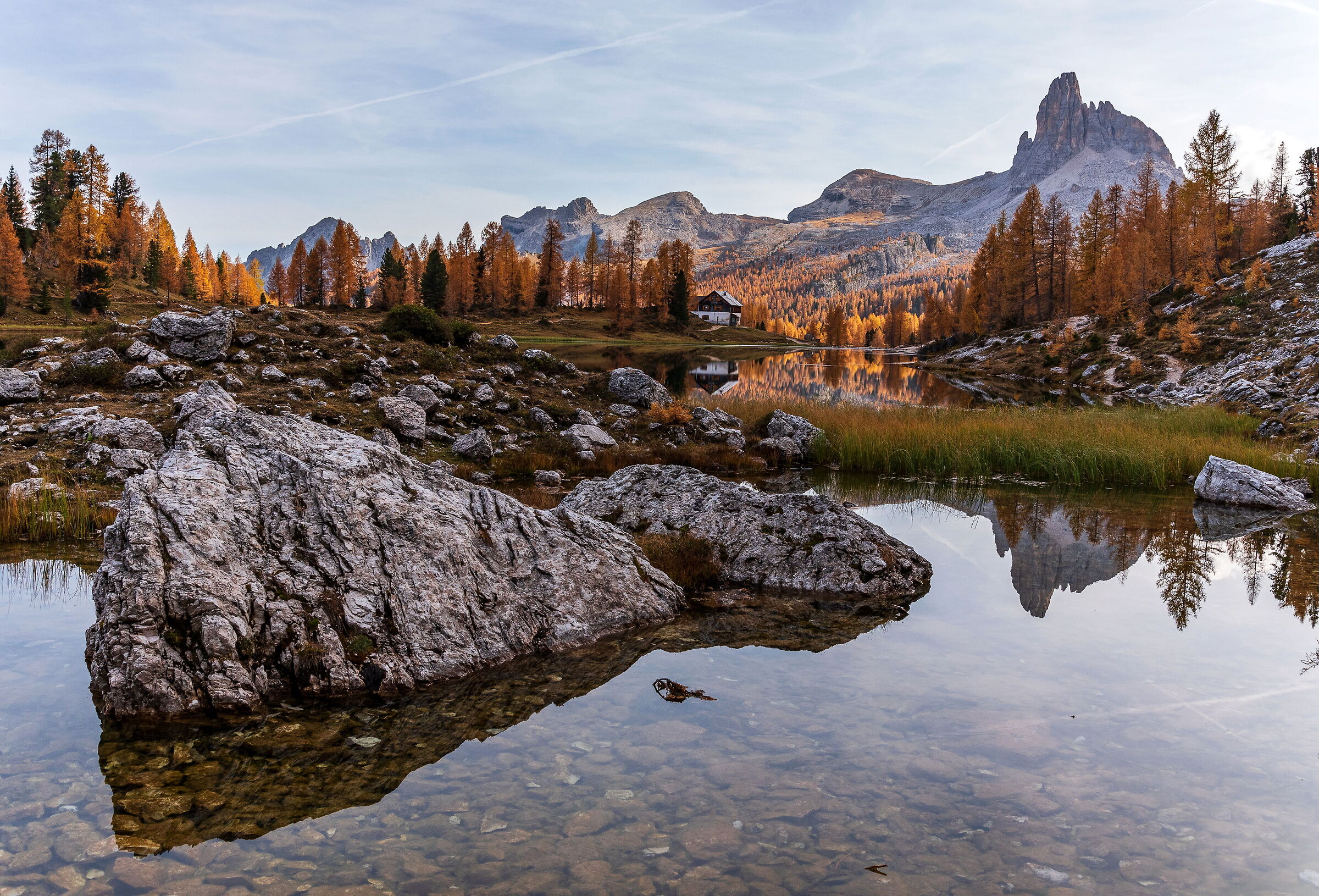 The colors of autumn life