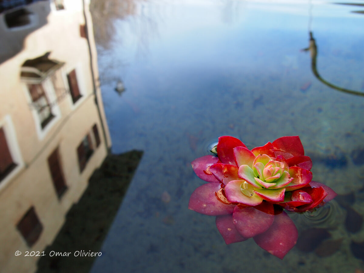 Reflections in the fountain