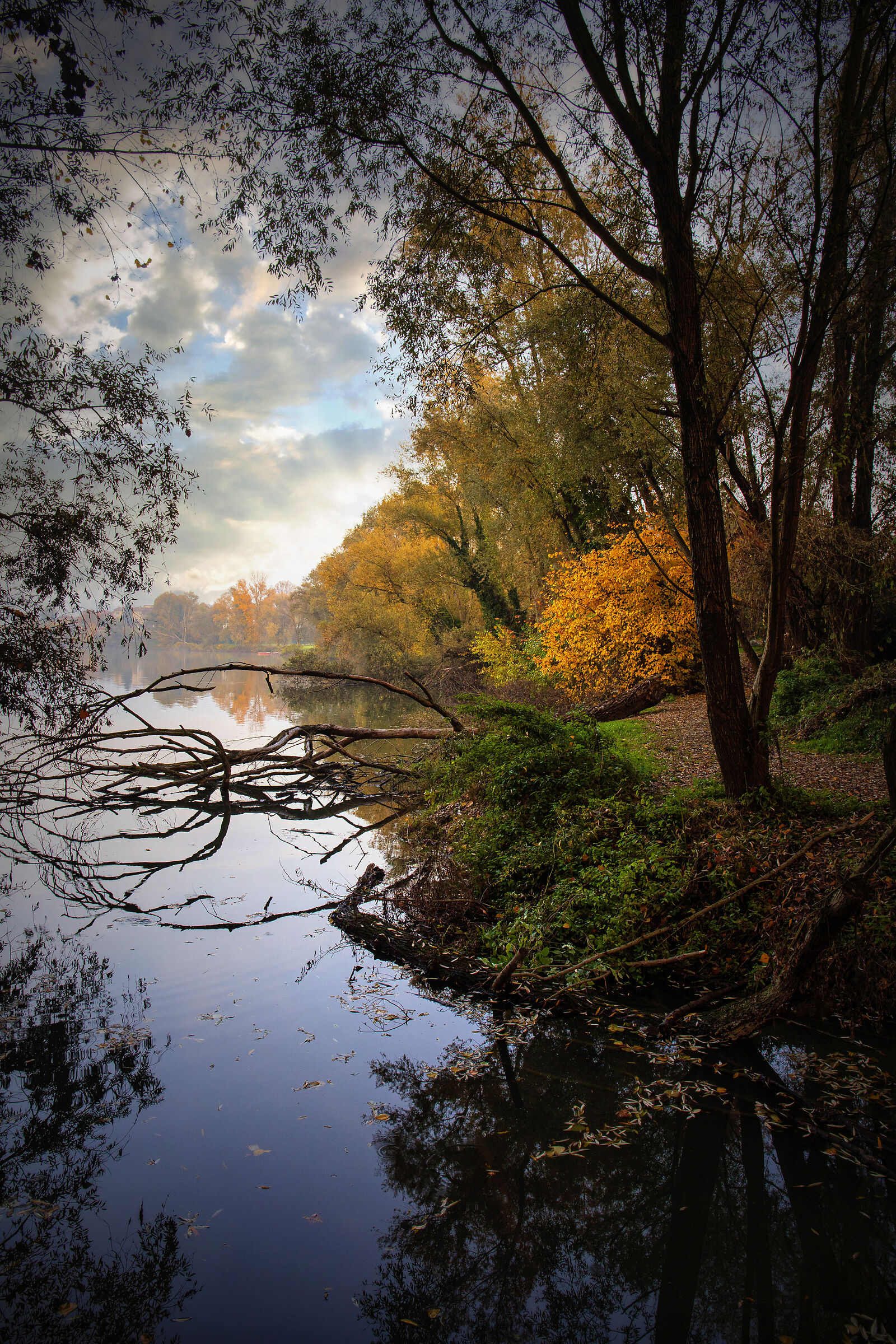 by the river