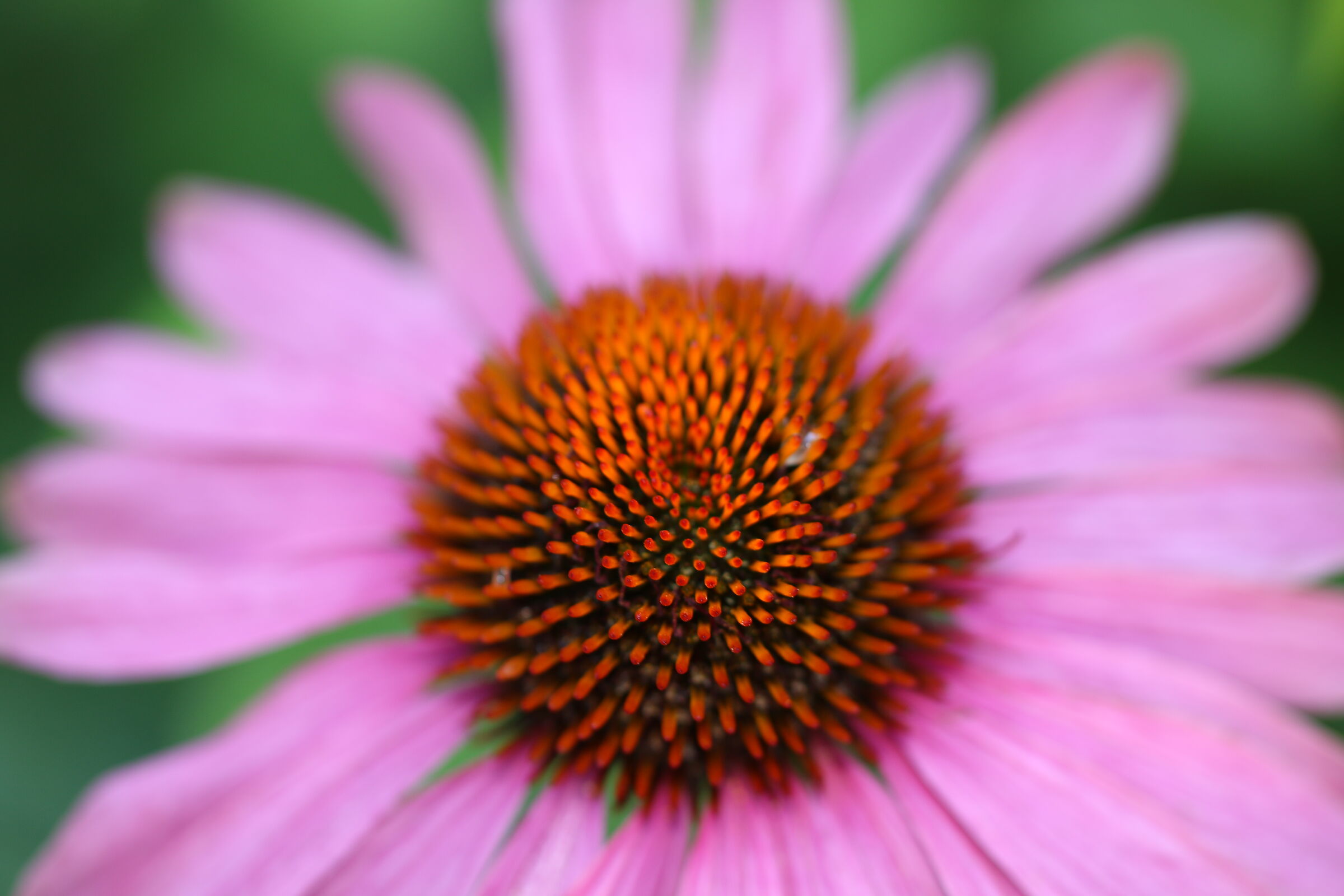 Hypnotic....