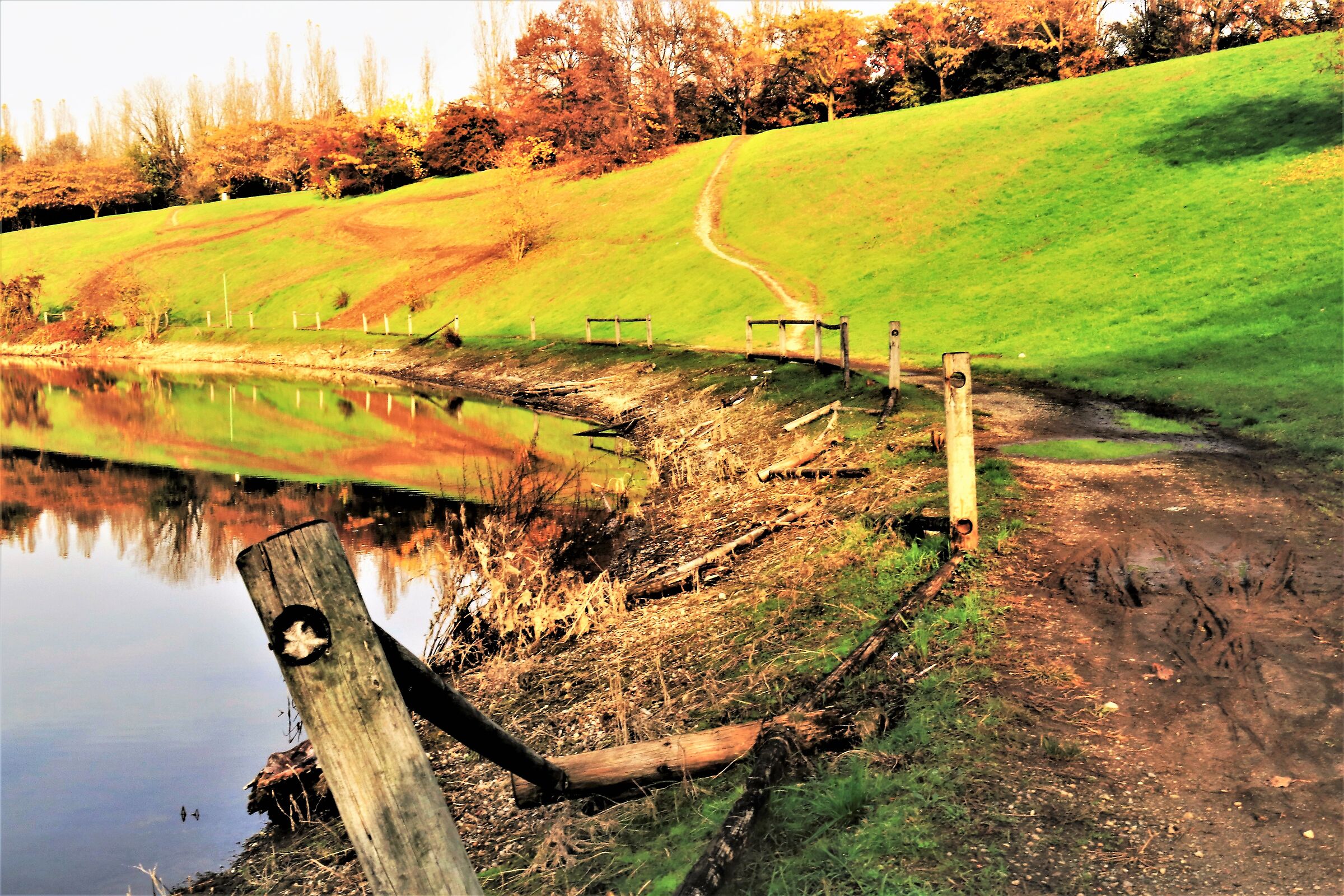 " Vandalismo o... semplice bravata? "
