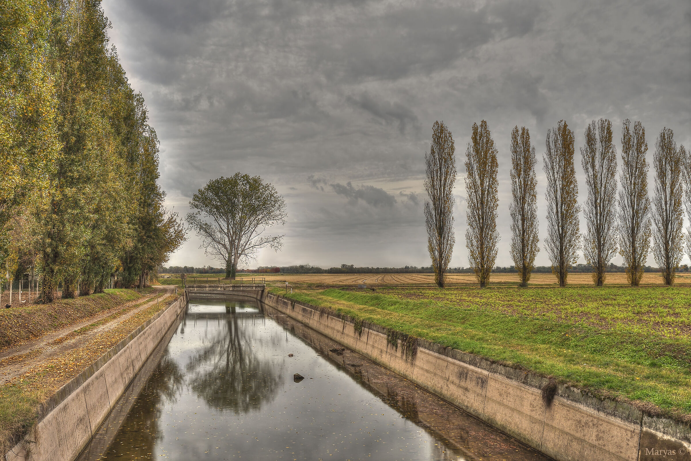 The taste of a gloomy day