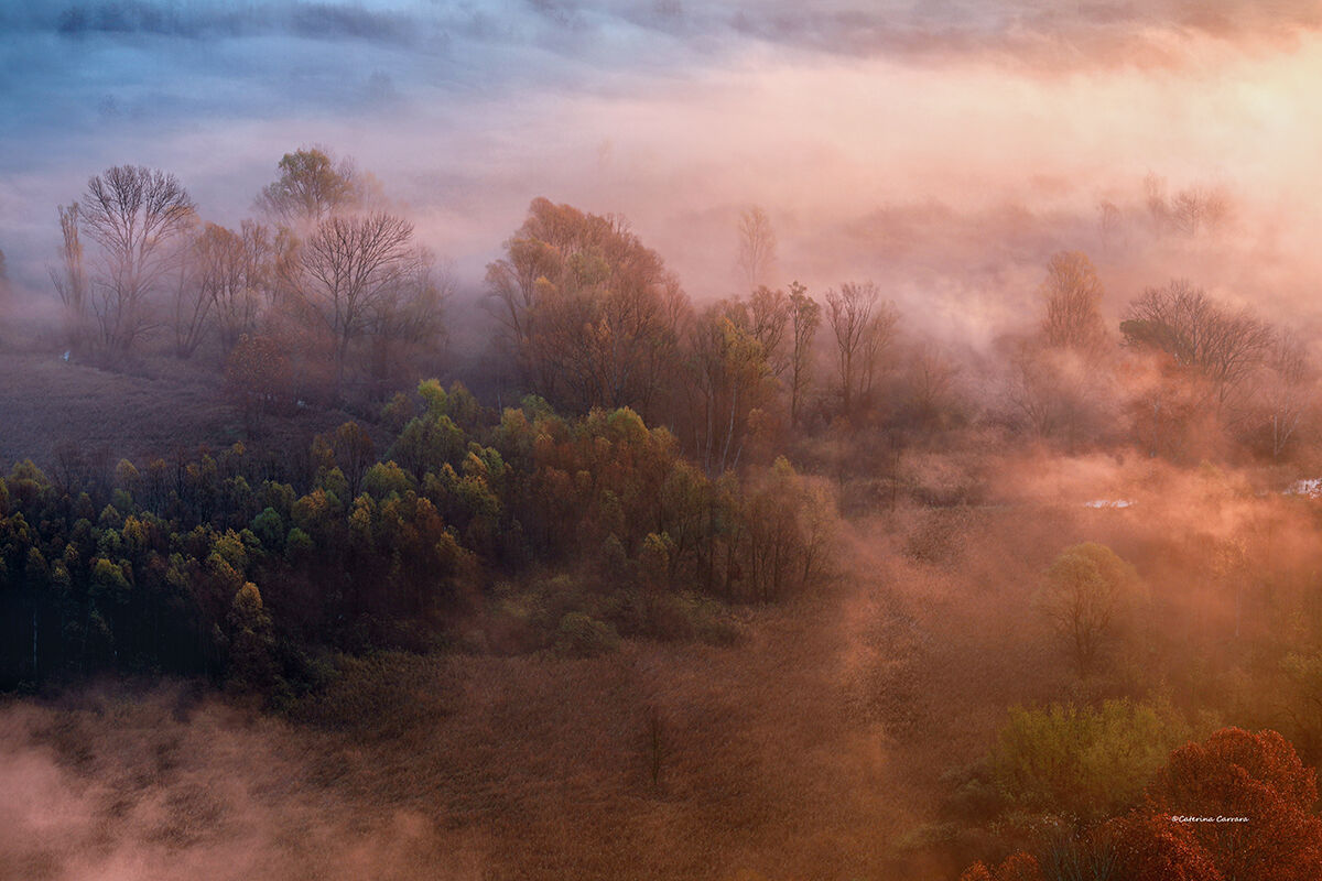Un Alba particolare!