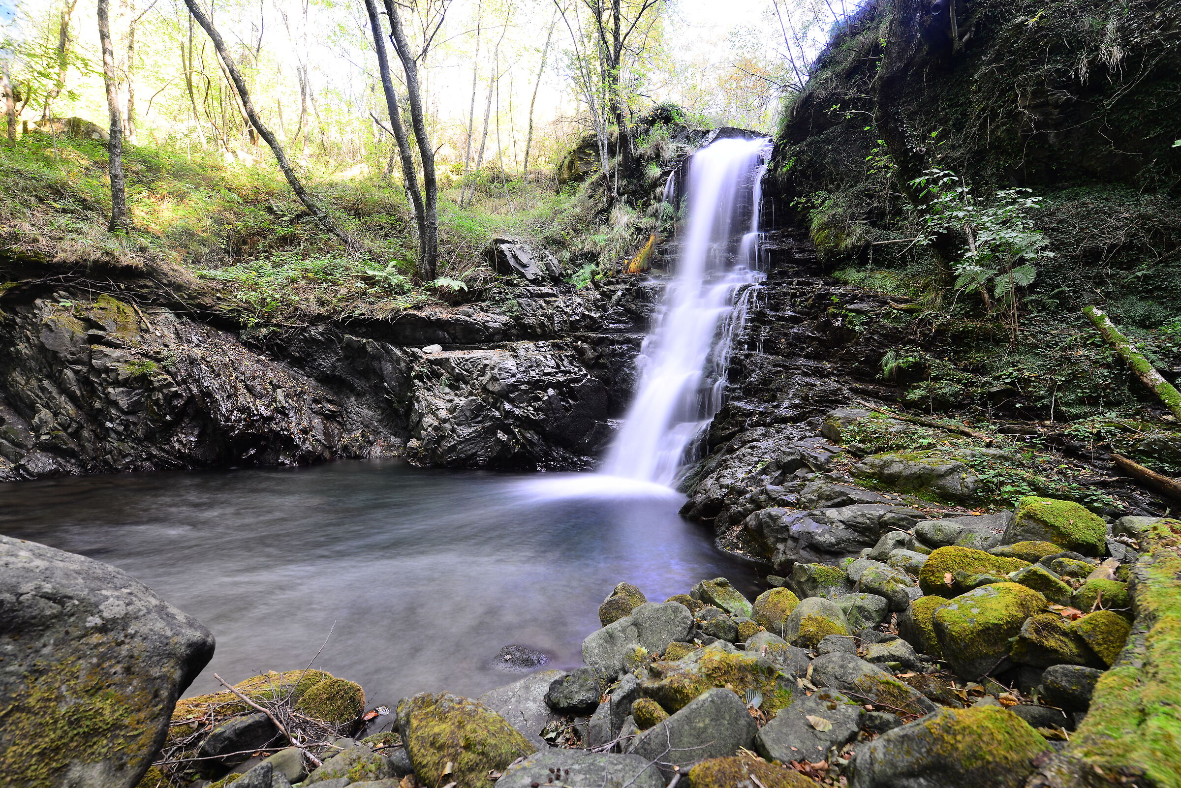 Torrent Acquetta