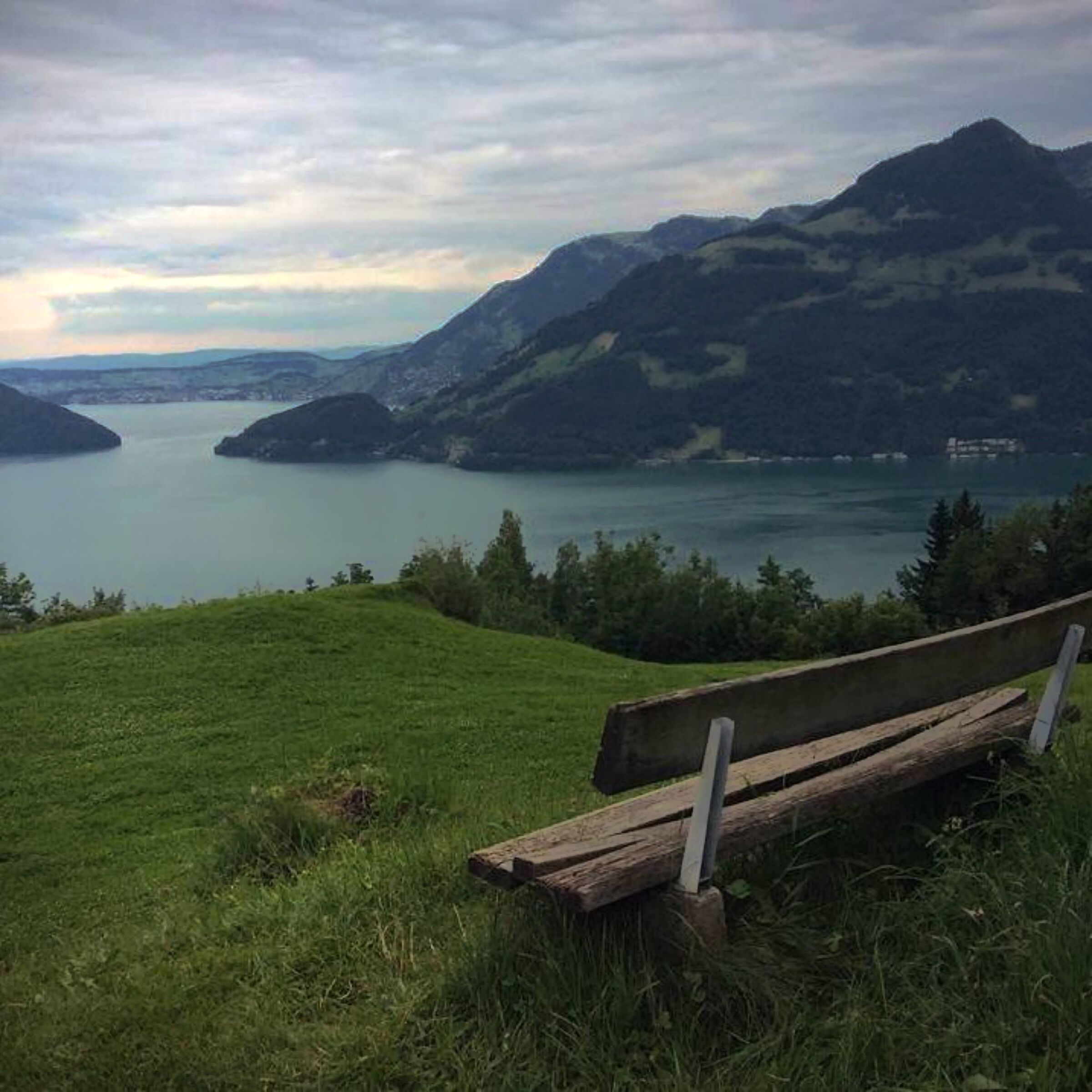 Bench in Switzerland