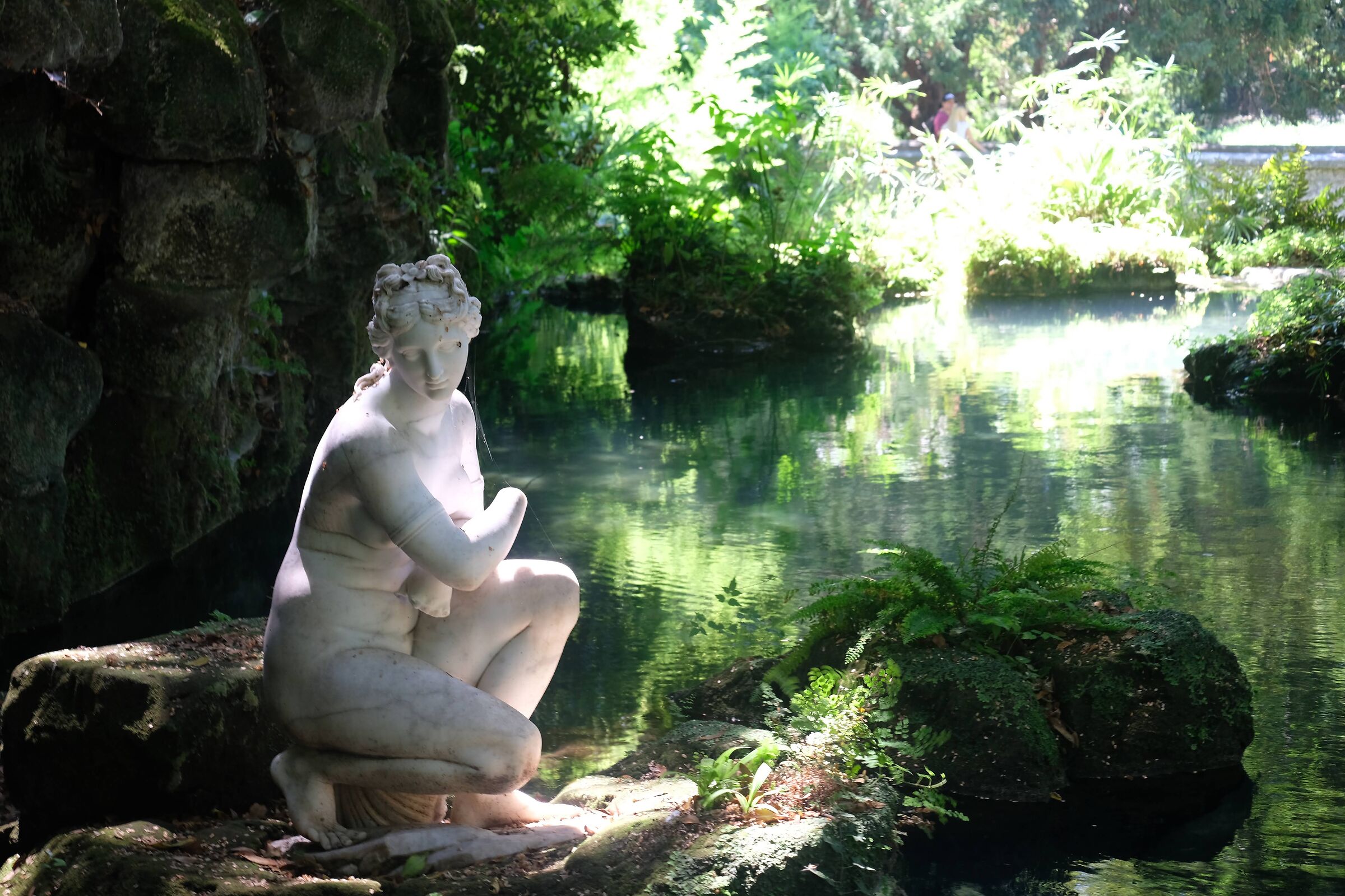 Water lily in the Royal Palace of Caserta